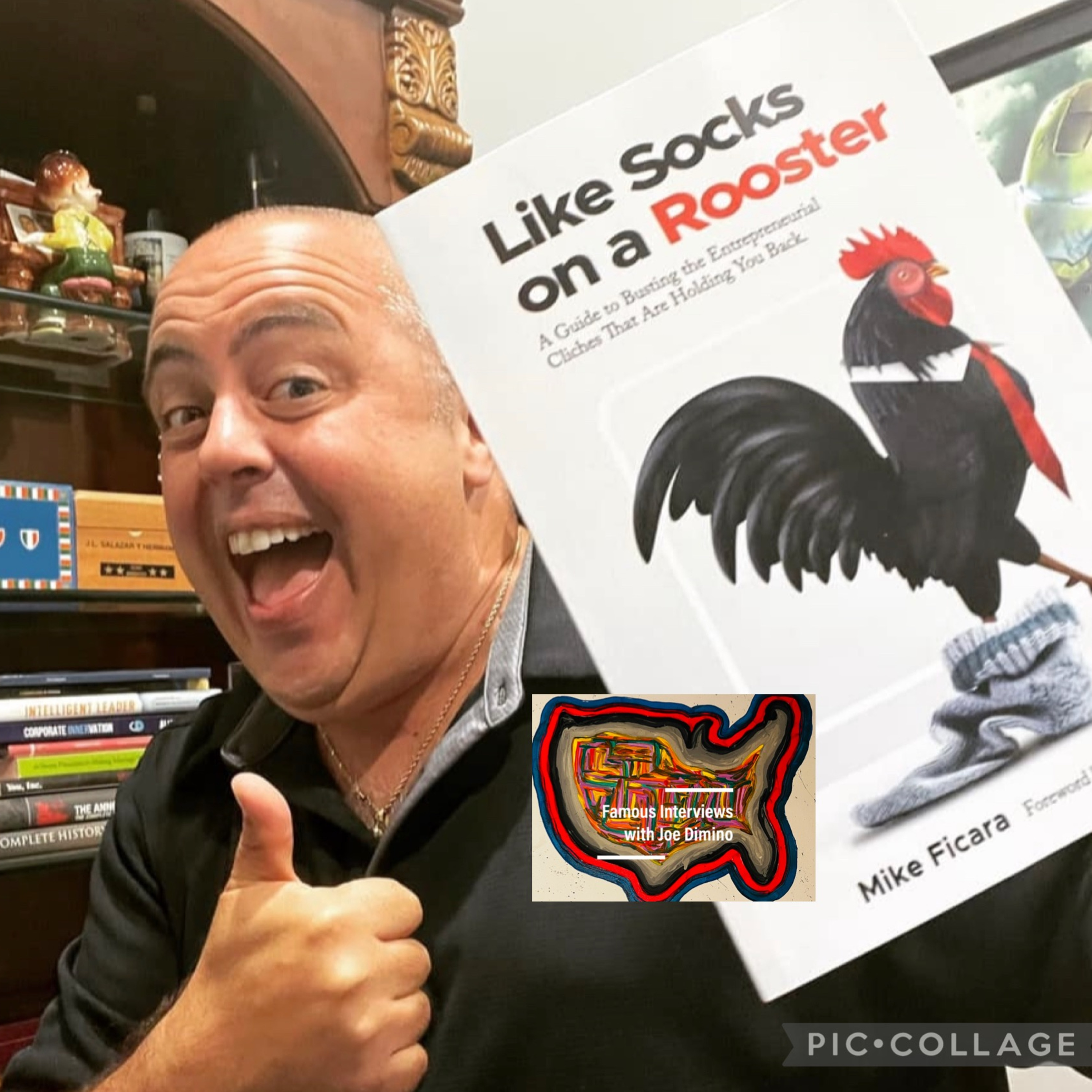 Seasoned Entrepreneur & Consultant Mike Ficara episode artwork
