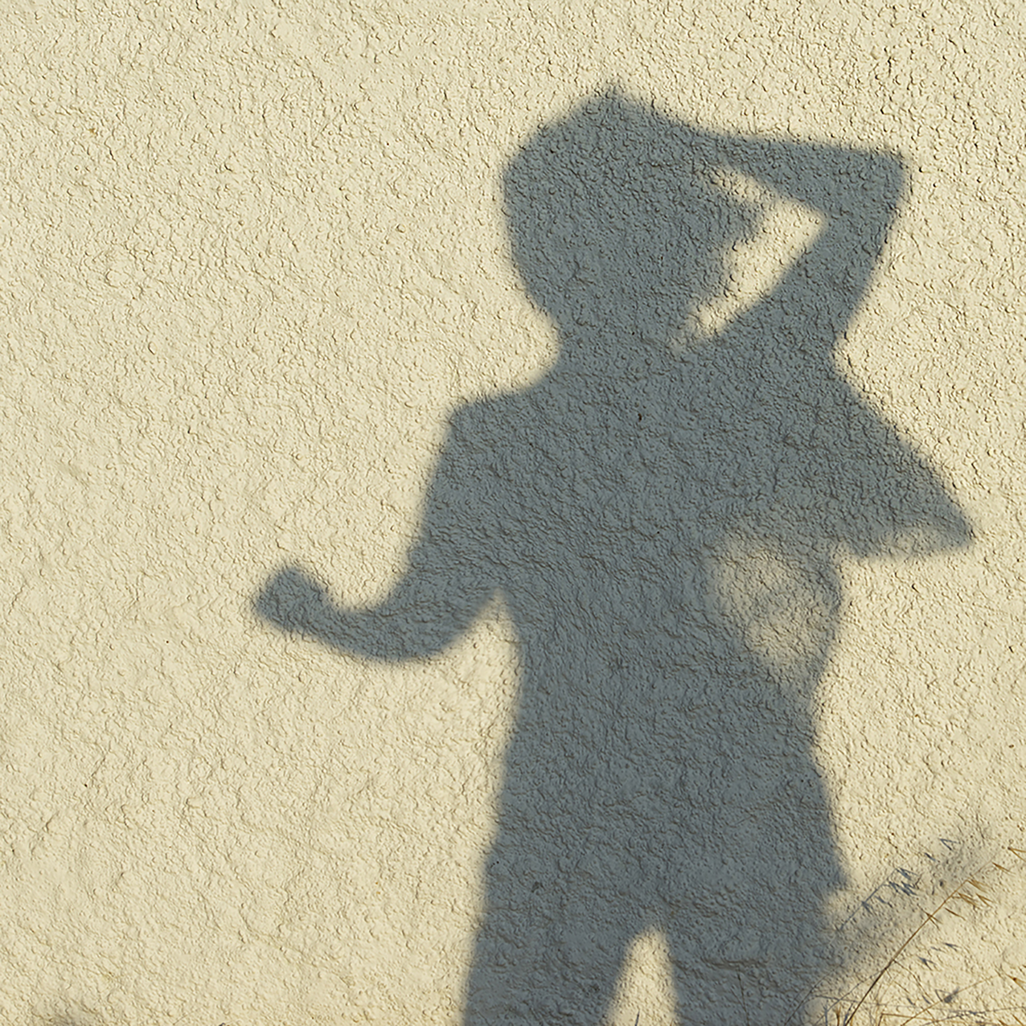 Thumbnail for "Possessive".