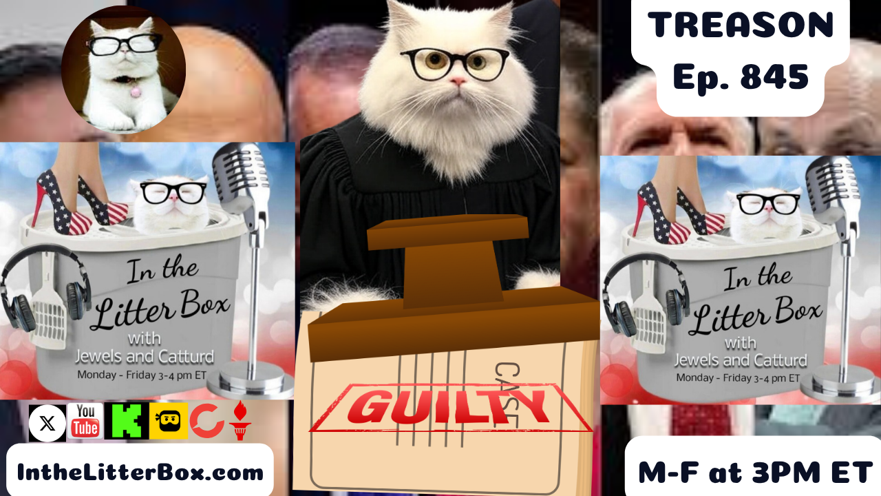 TREASON | In the Litter Box w/ Jewels & Catturd – Ep. 845 – 7/21/2025