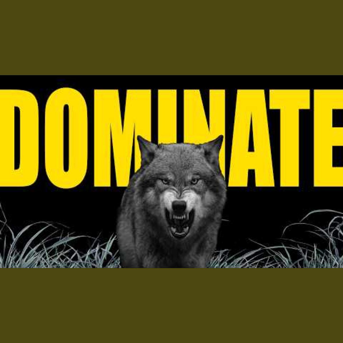 Master Your Challenges & Opponents with Stoic Insights