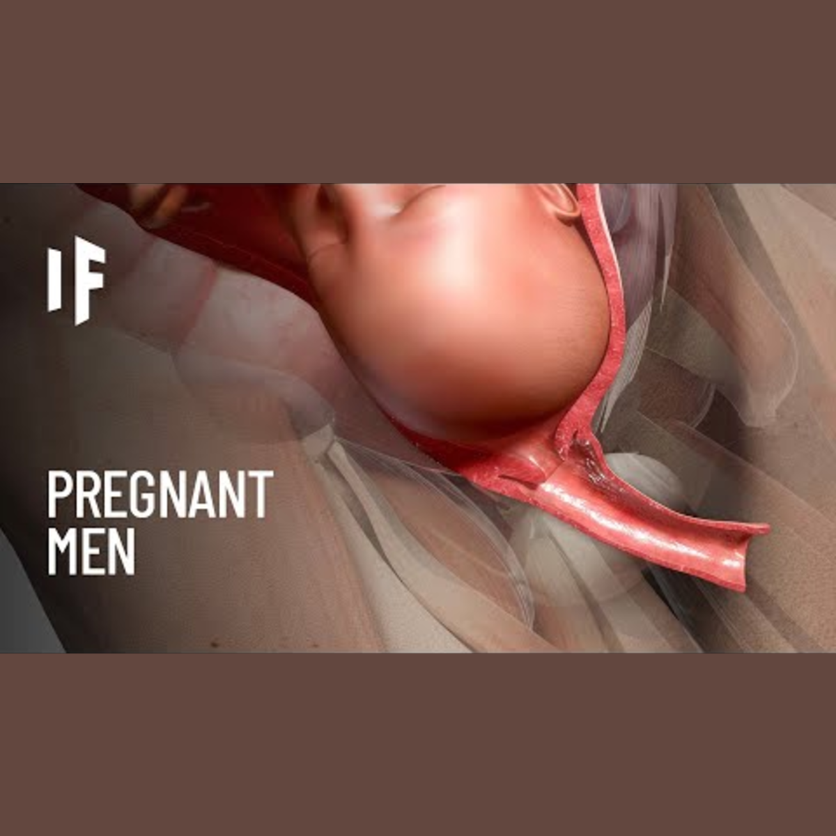 What If Men Could Get Pregnant? episode artwork