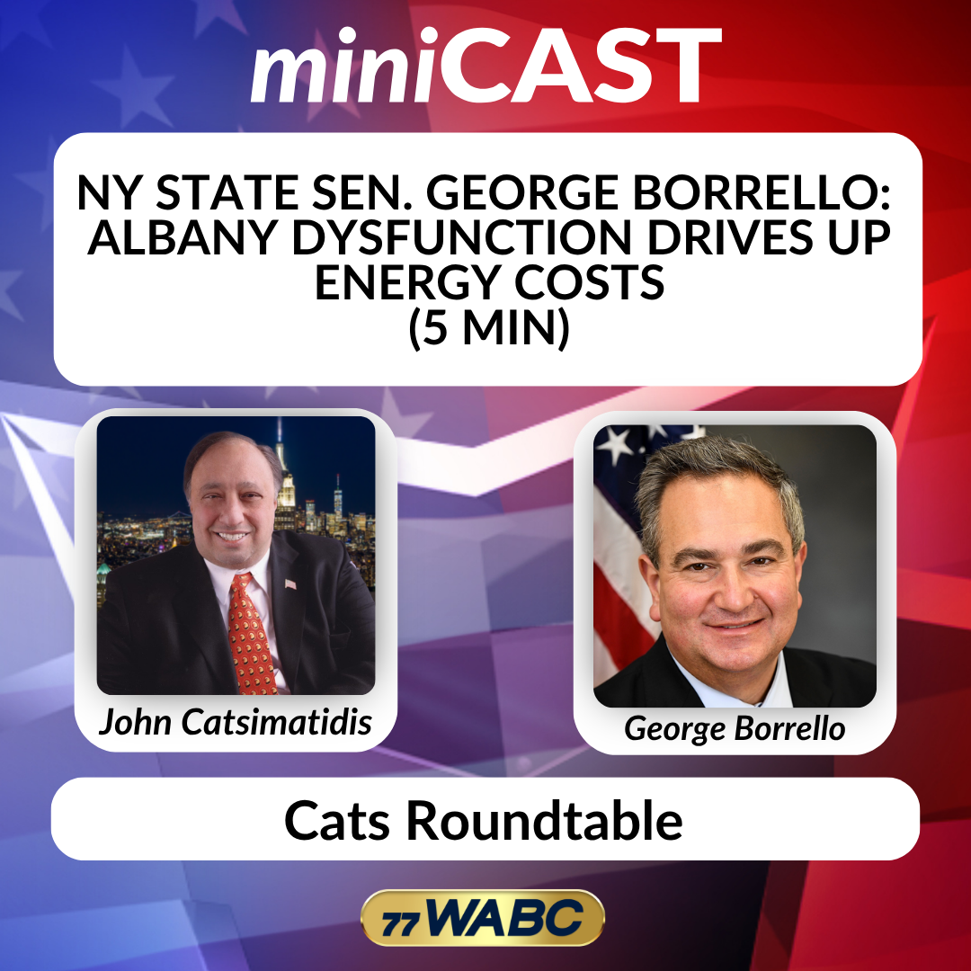 NY State Sen. George Borrello: Albany Dysfunction Drives Up Energy Costs (5 min)