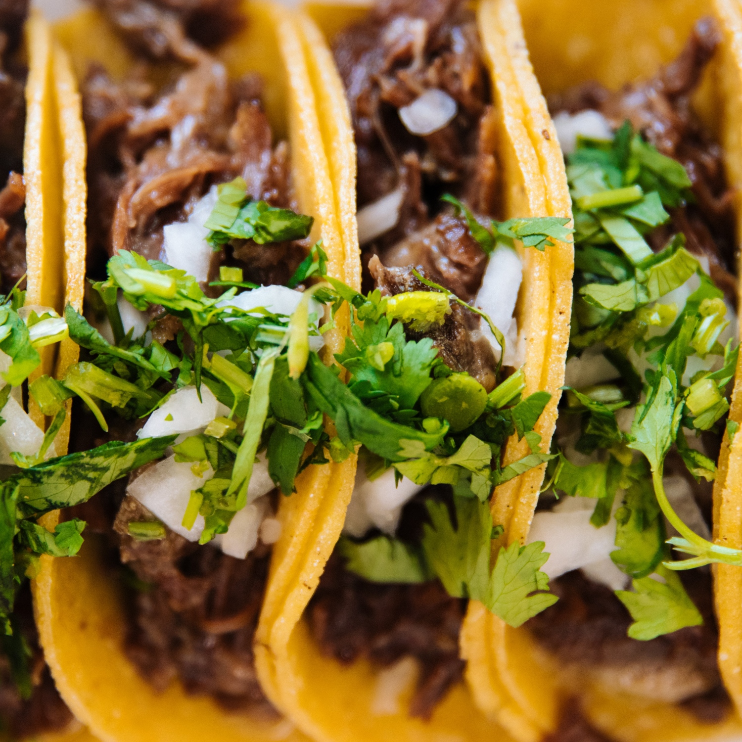 Wild Fish and Game Podcast