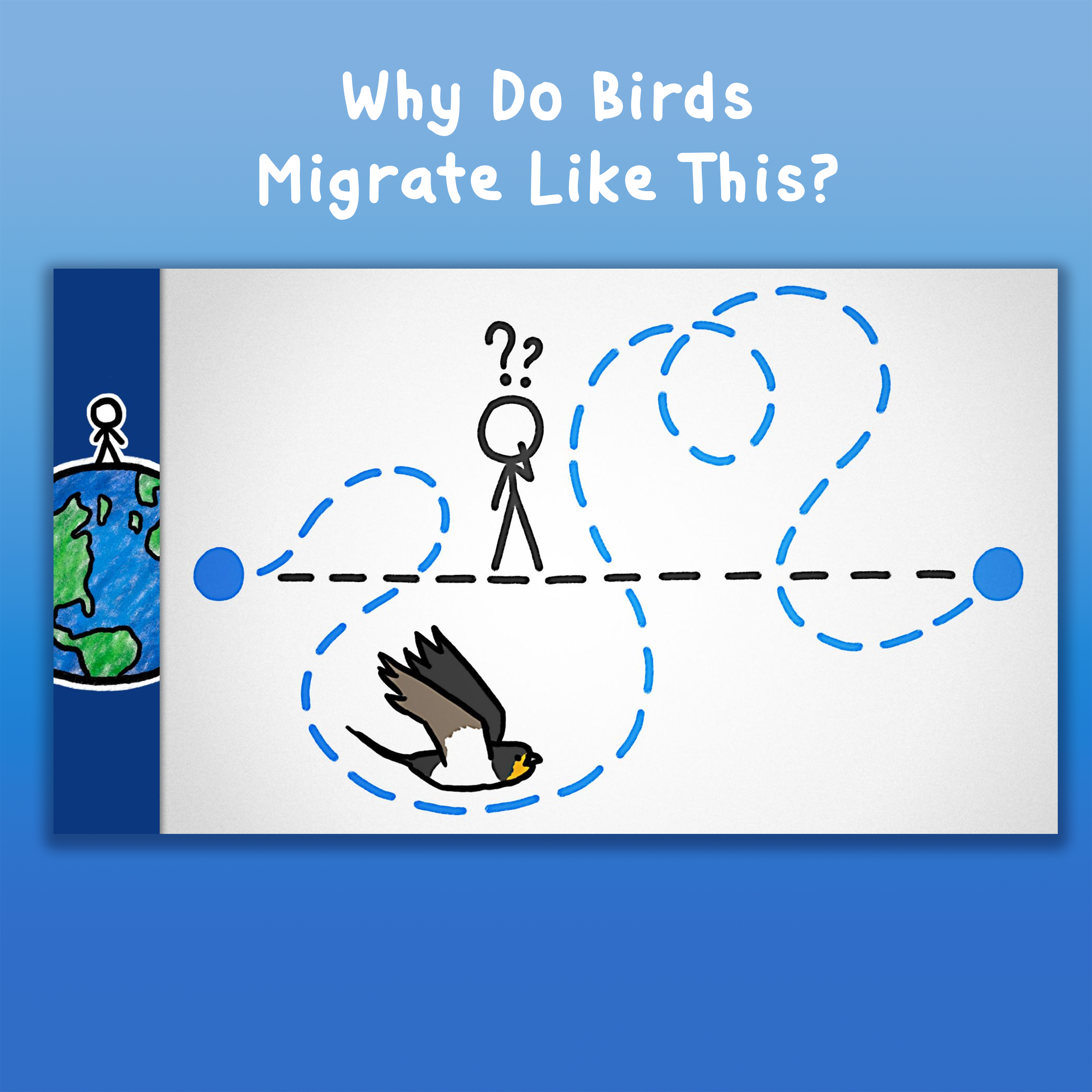 Why Do Birds Migrate Like This?