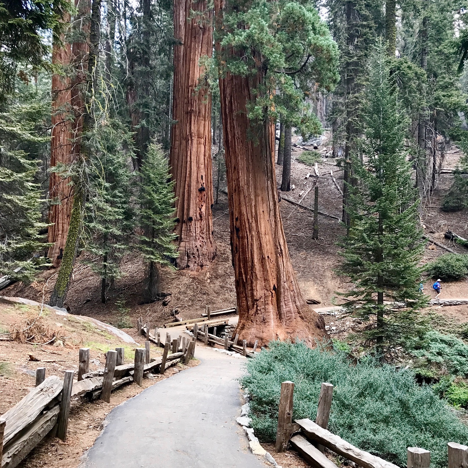 #130: Easy Bucket-List National Park Hikes