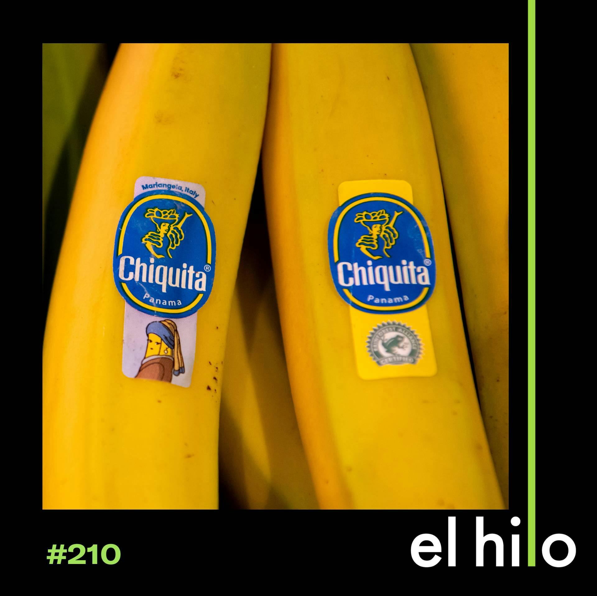 Una condena para Chiquita, la bananera que financió asesinatos en Colombia
