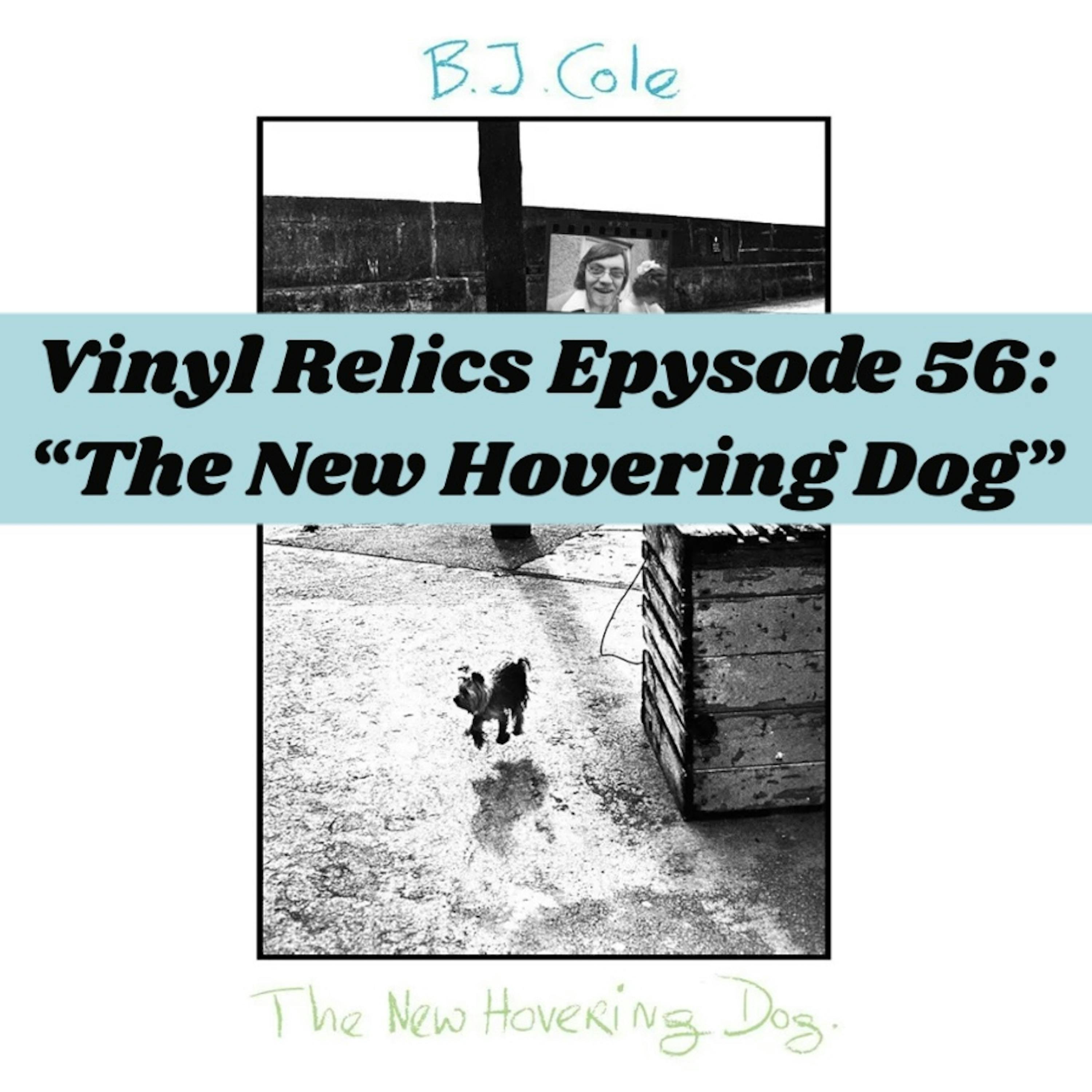 VINYL RELICS//BJ Cole’s The New Hovering Dog: A Forgotten 1972 Prog-Country Treasure