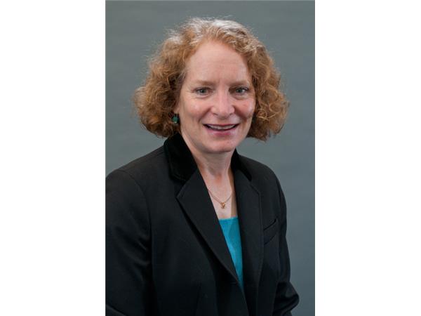 The State of Small Business in America 2016: Babson Professor Donna Kelly Guests episode artwork