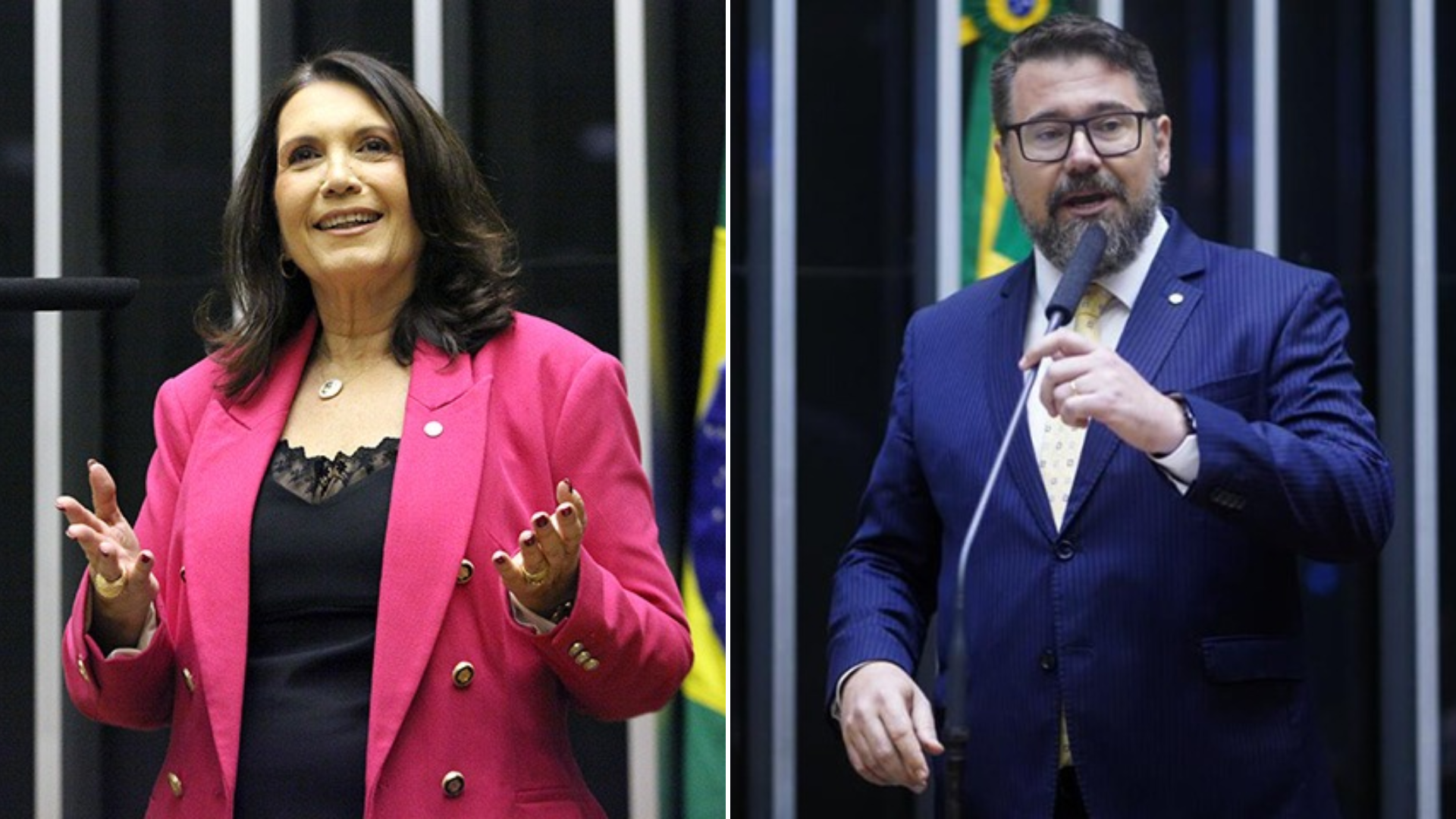 Dark Horse: Marcos Pollon e Bia Kicis assinaram emendas destinadas a organizações de produtora episode artwork