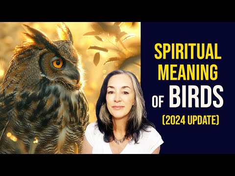 BIRD MEANINGS / SPIRIT BIRDS 🦉Bird Signs Reveal Who We Are