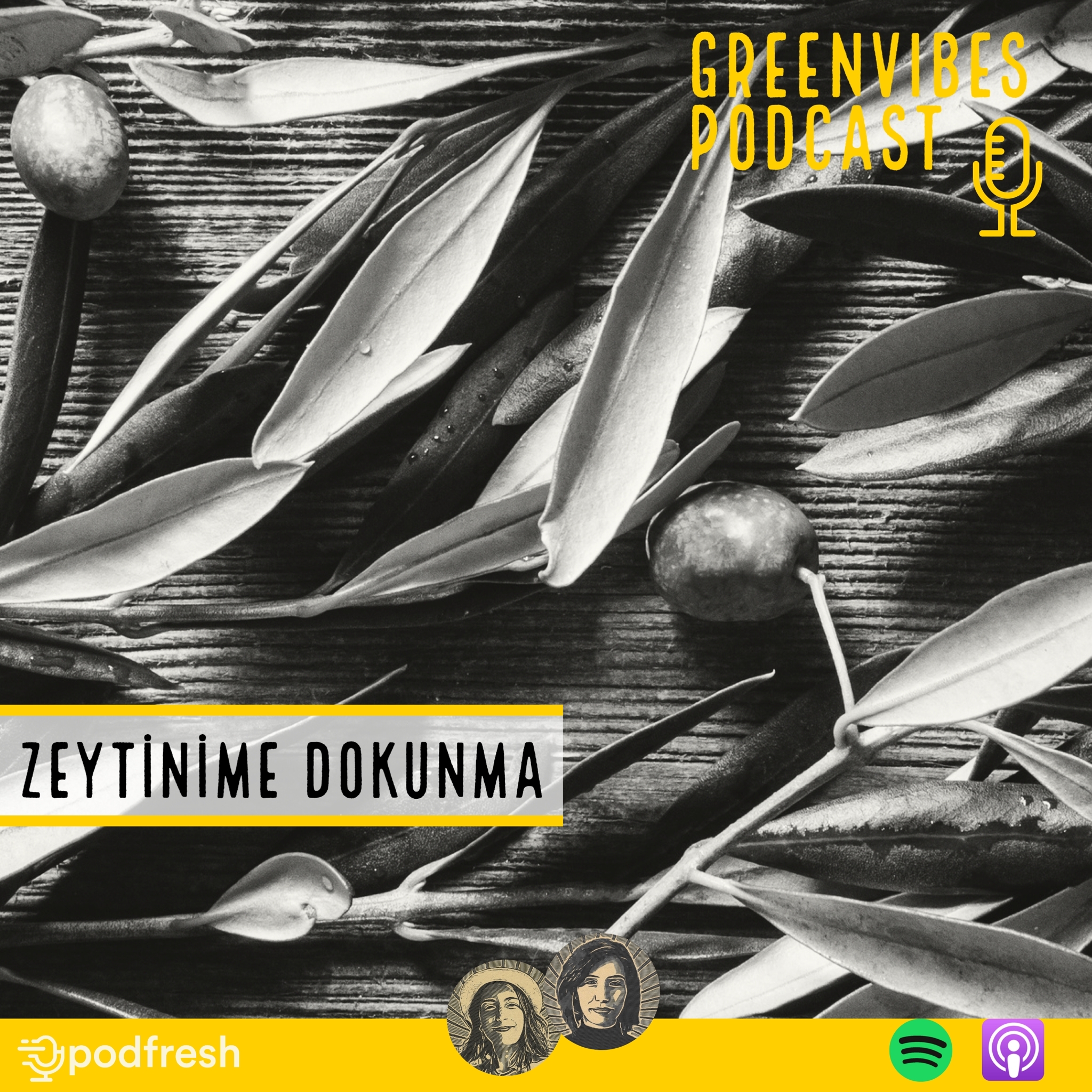 Zeytinime Dokunma