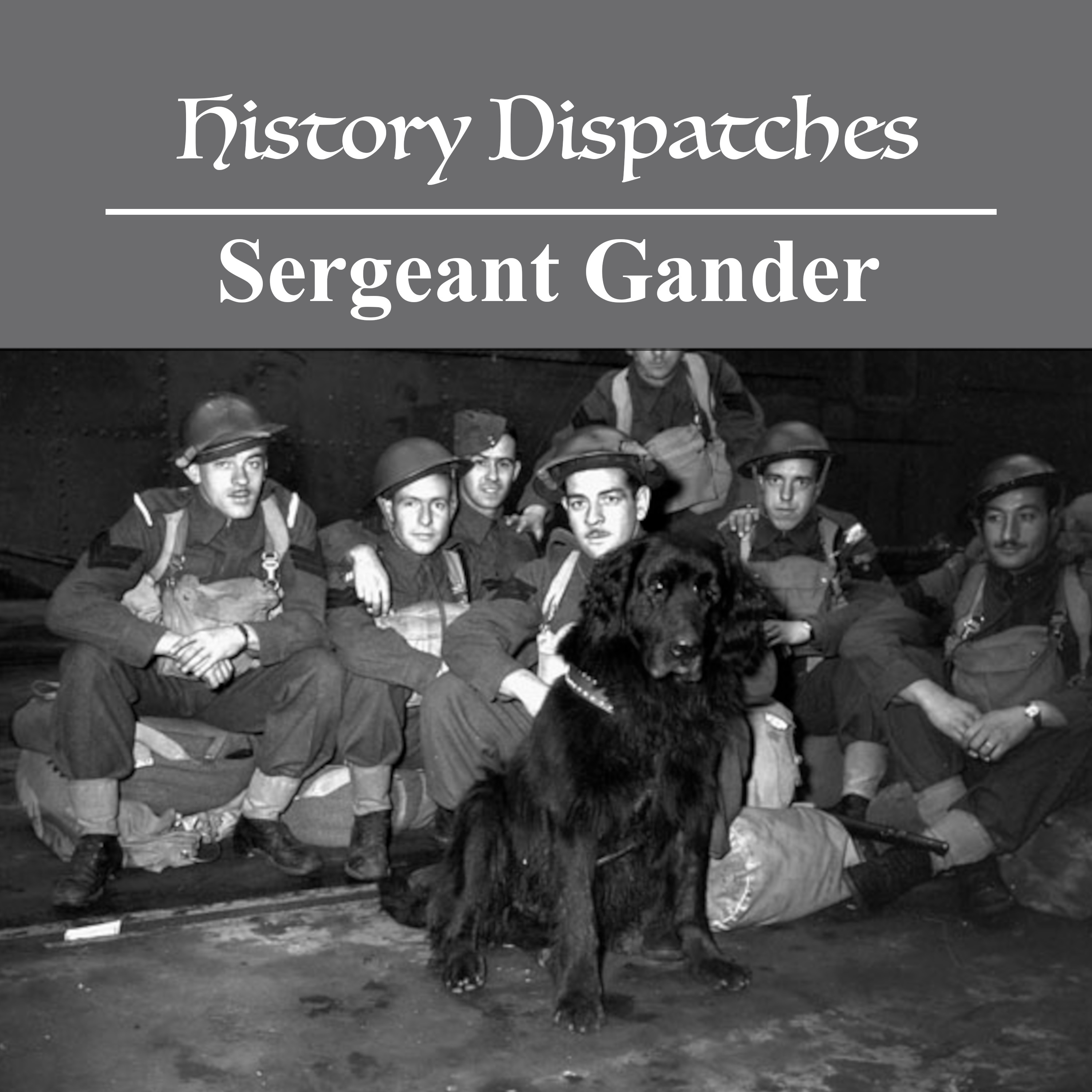 Sergeant Gander