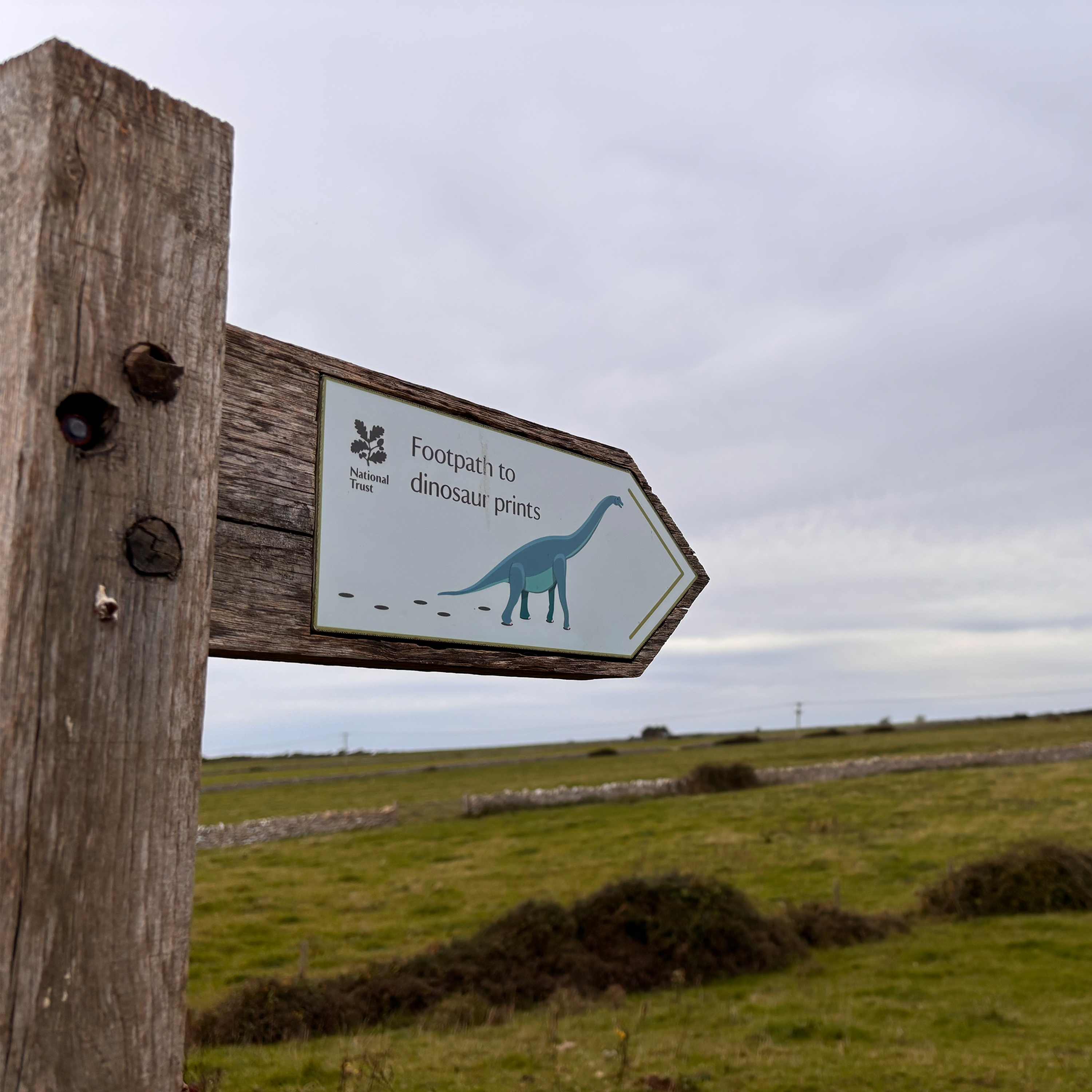 310. Meet the monsters lurking in the corners of our landscape and imagination - with Nicholas Jubber