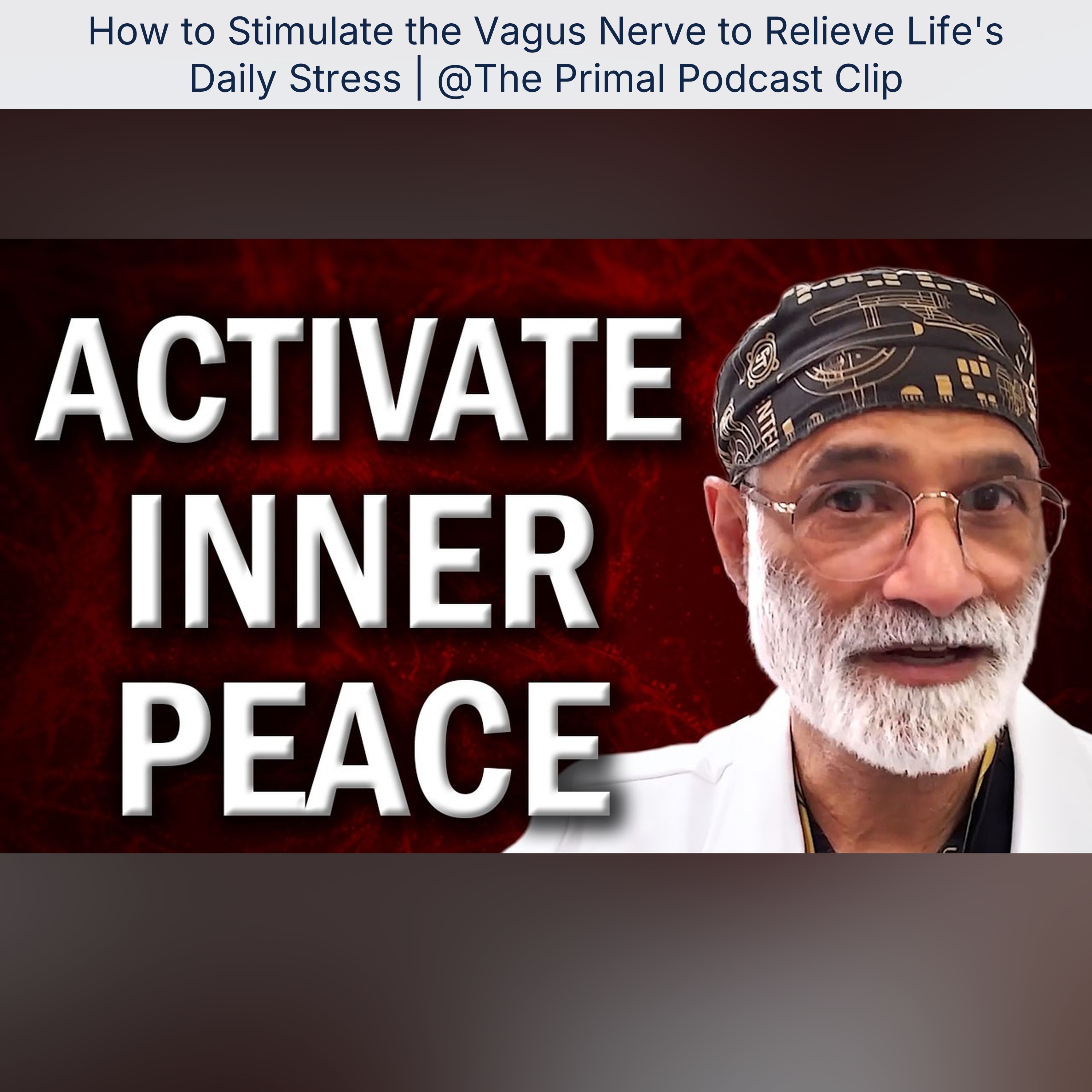 How to Stimulate the Vagus Nerve to Relieve Life's Daily Stress | @The Primal Podcast Clip