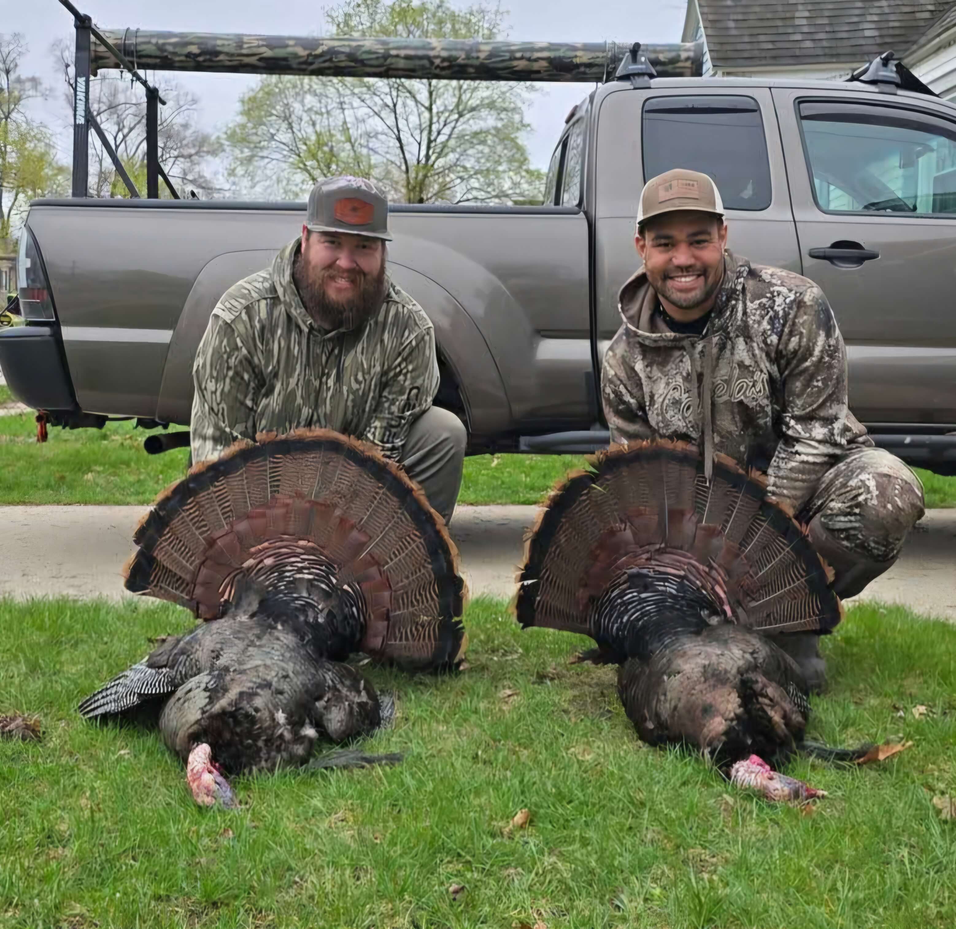 Michigan Wild - Double T's