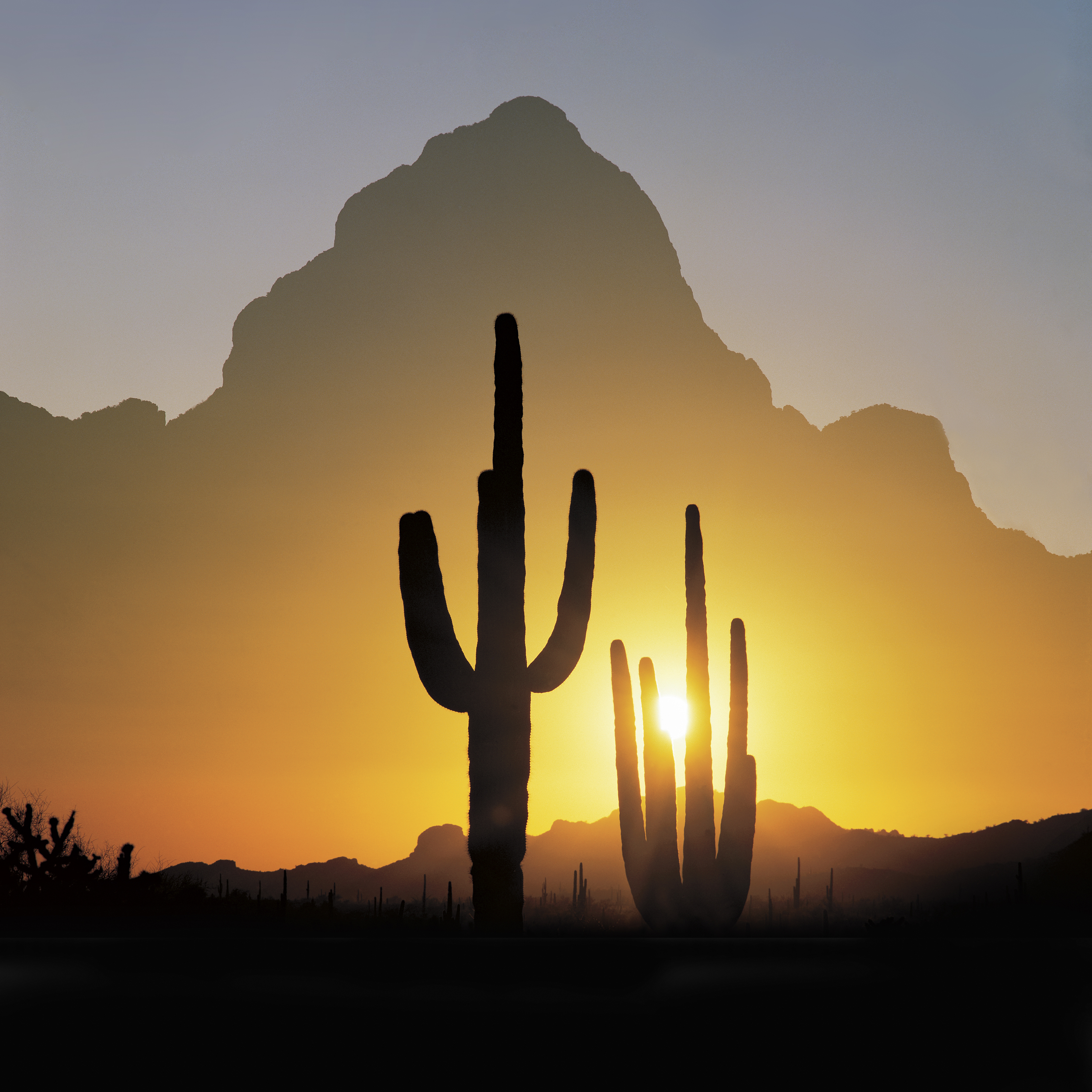 CELEBRATING 100 YEARS OF ARIZONA HIGHWAYS