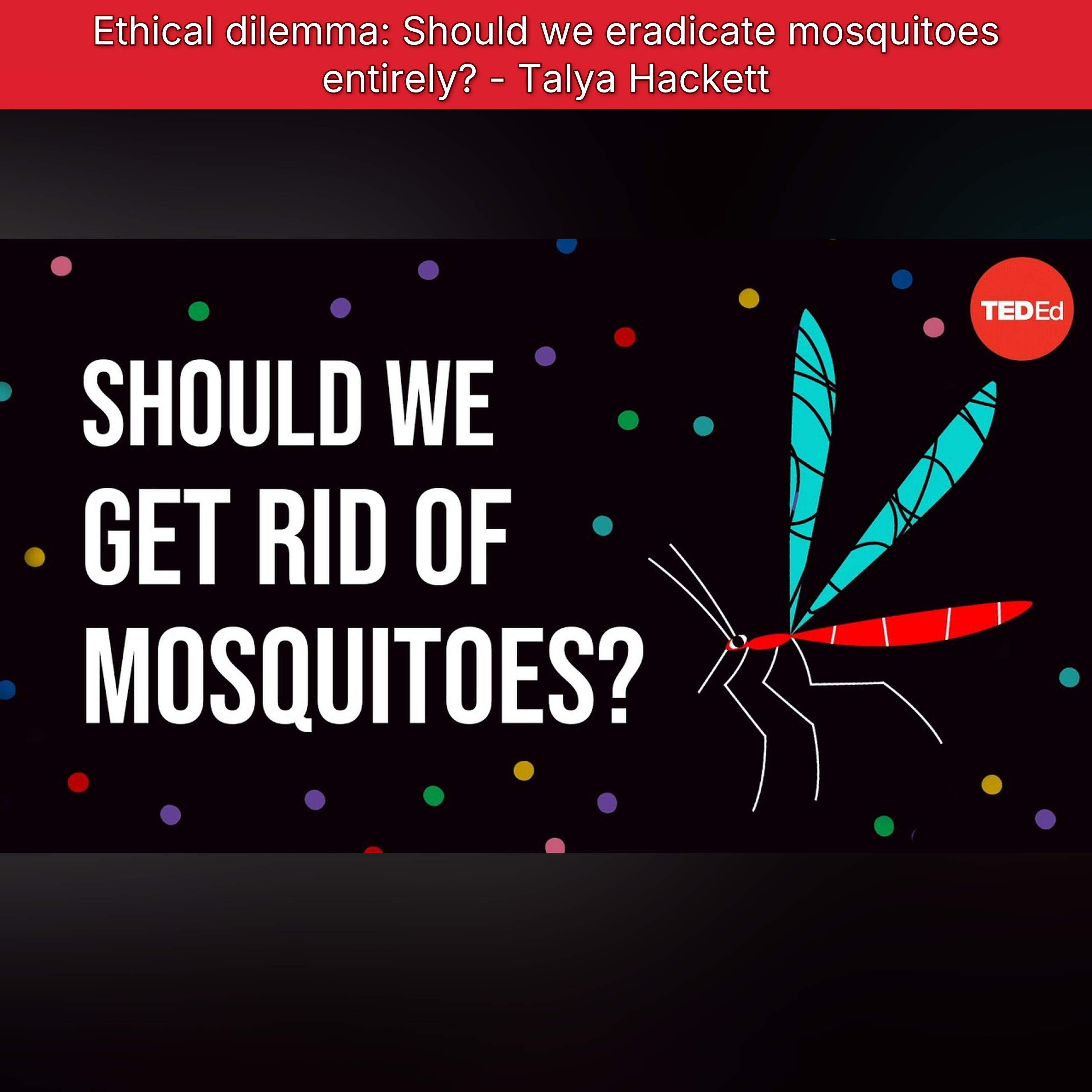 Ethical dilemma: Should we eradicate mosquitoes entirely? - Talya Hackett