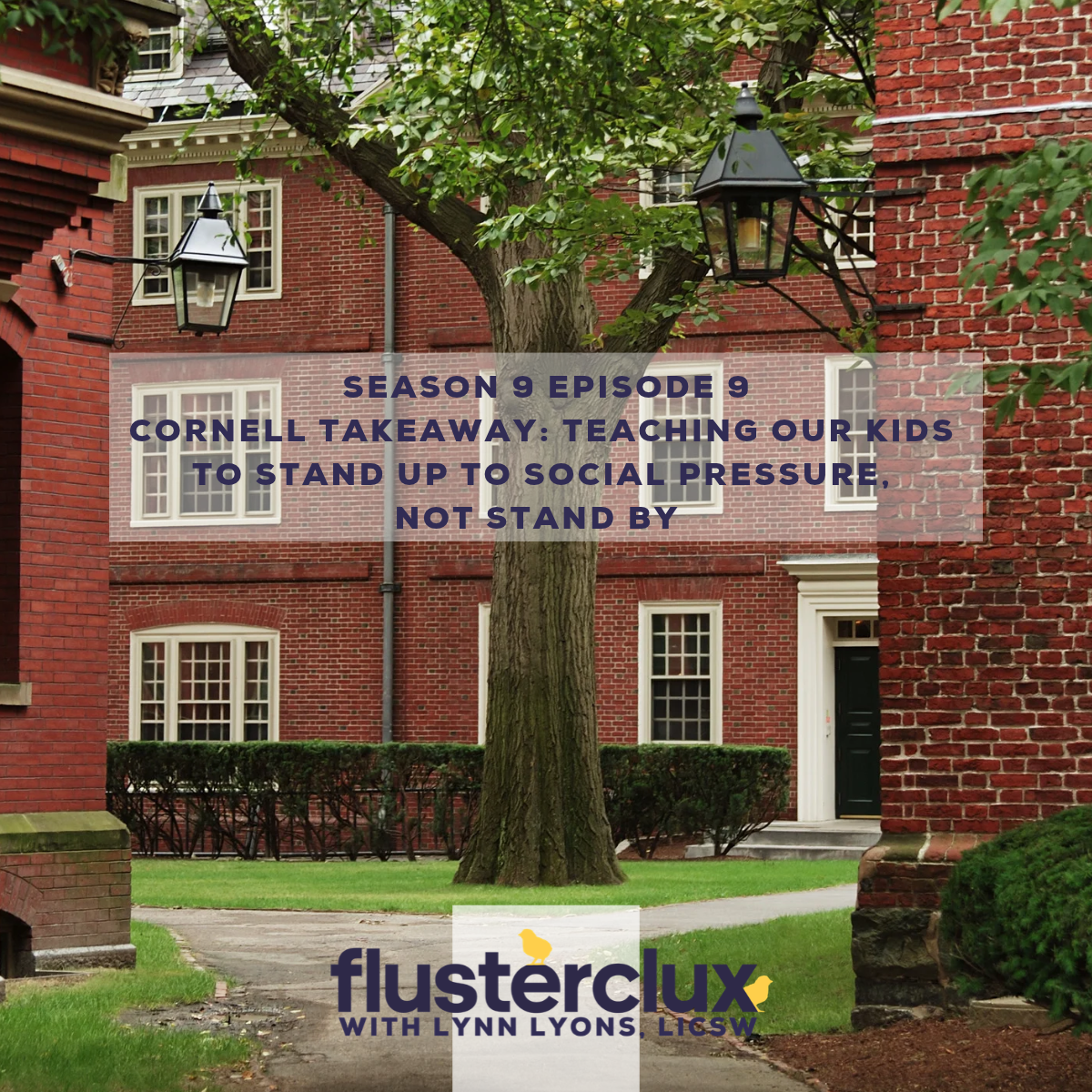 Flusterclux With Lynn Lyons: For Parents Who Worry