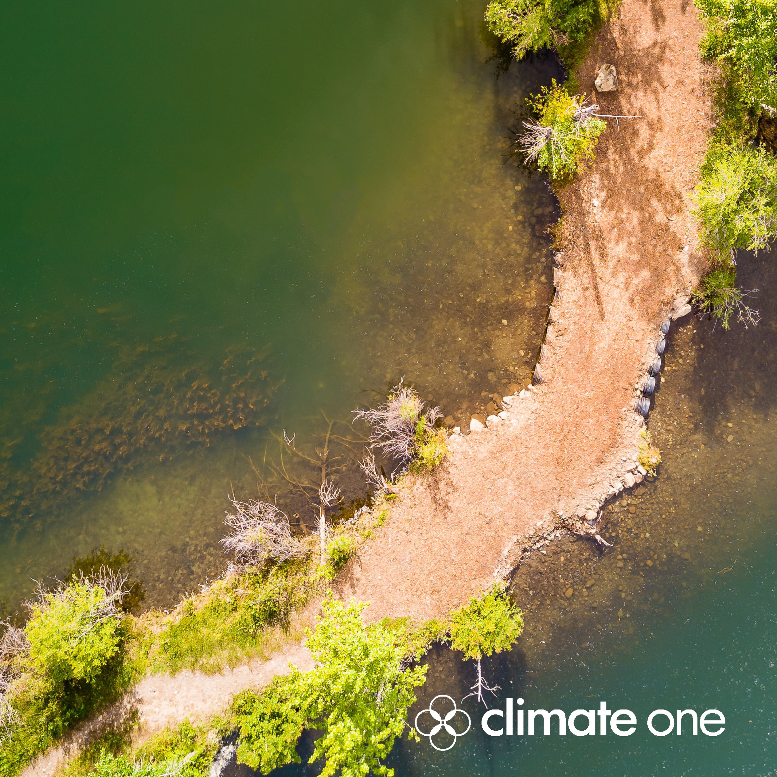 Mark Carney, Fatih Birol and the Narrow Path to Net Zero