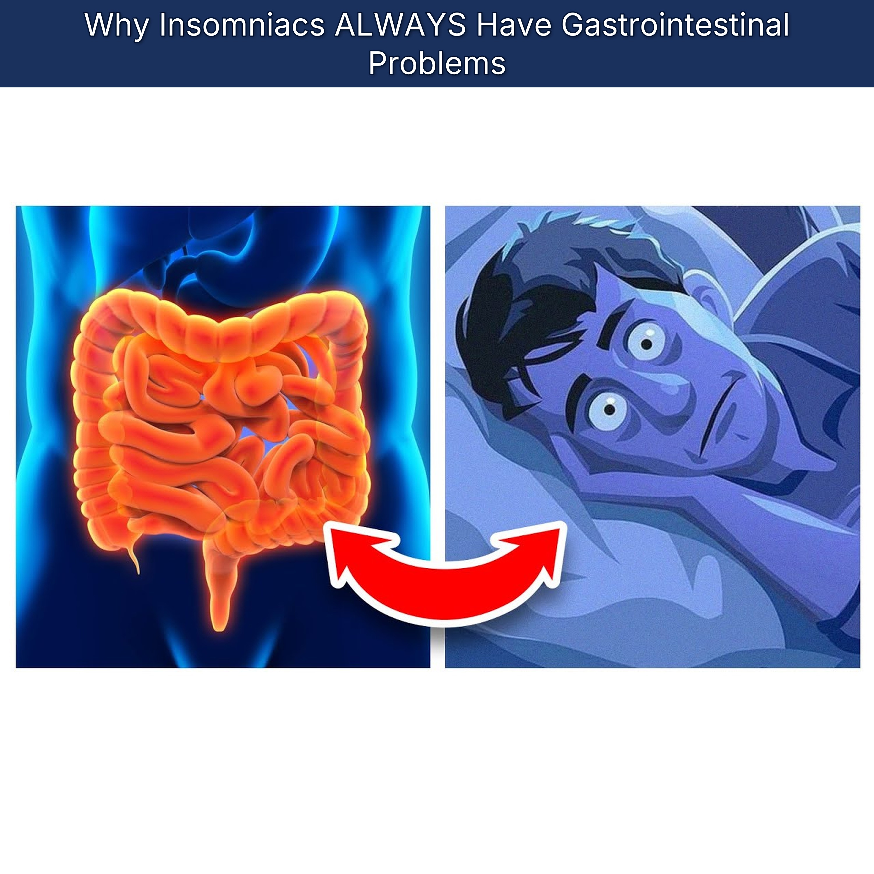 Why Insomniacs ALWAYS Have Gastrointestinal Problems episode artwork