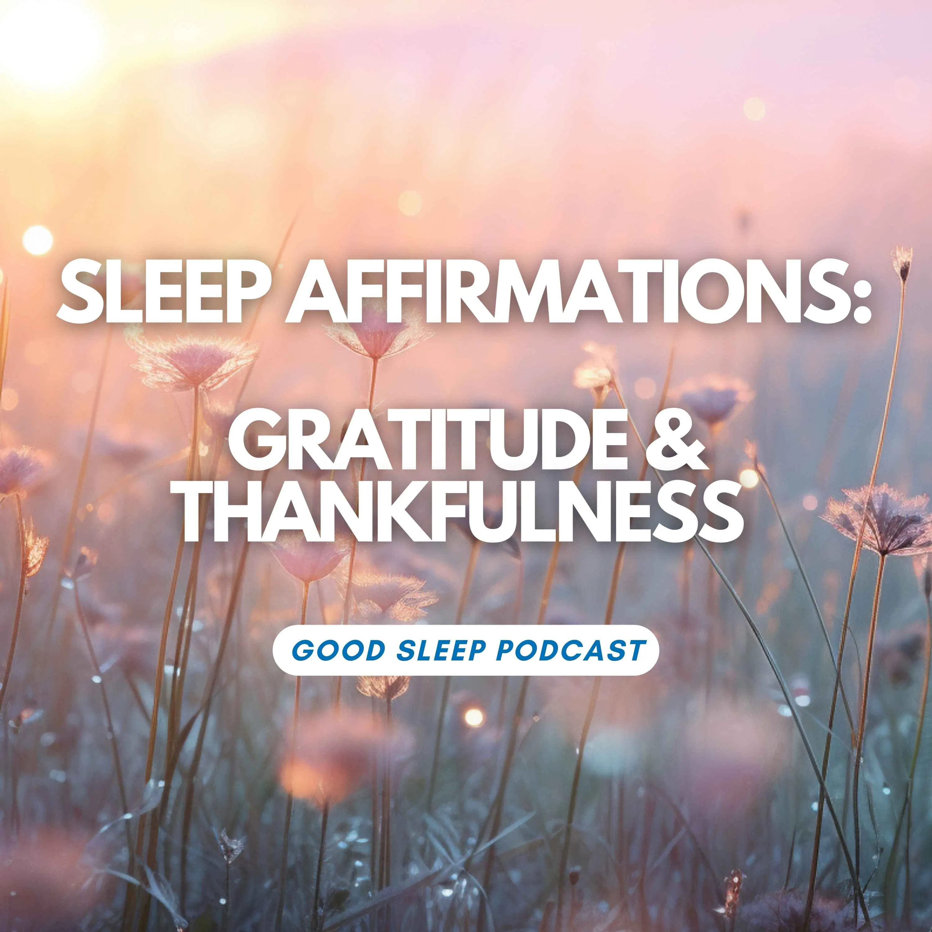 Nightly Gratitude Sleep Affirmations: Wake Up Feeling Blessed and Positive episode artwork