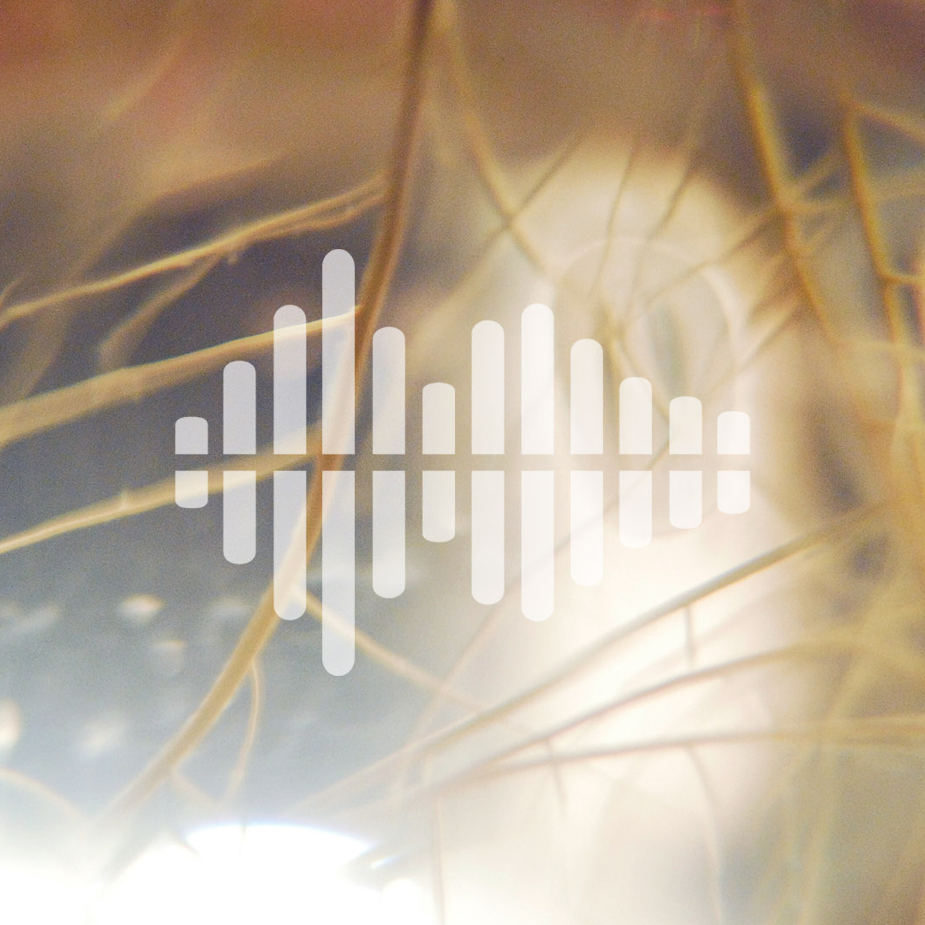 Breakthrough of the Year, our favorite online news stories, and the year in books