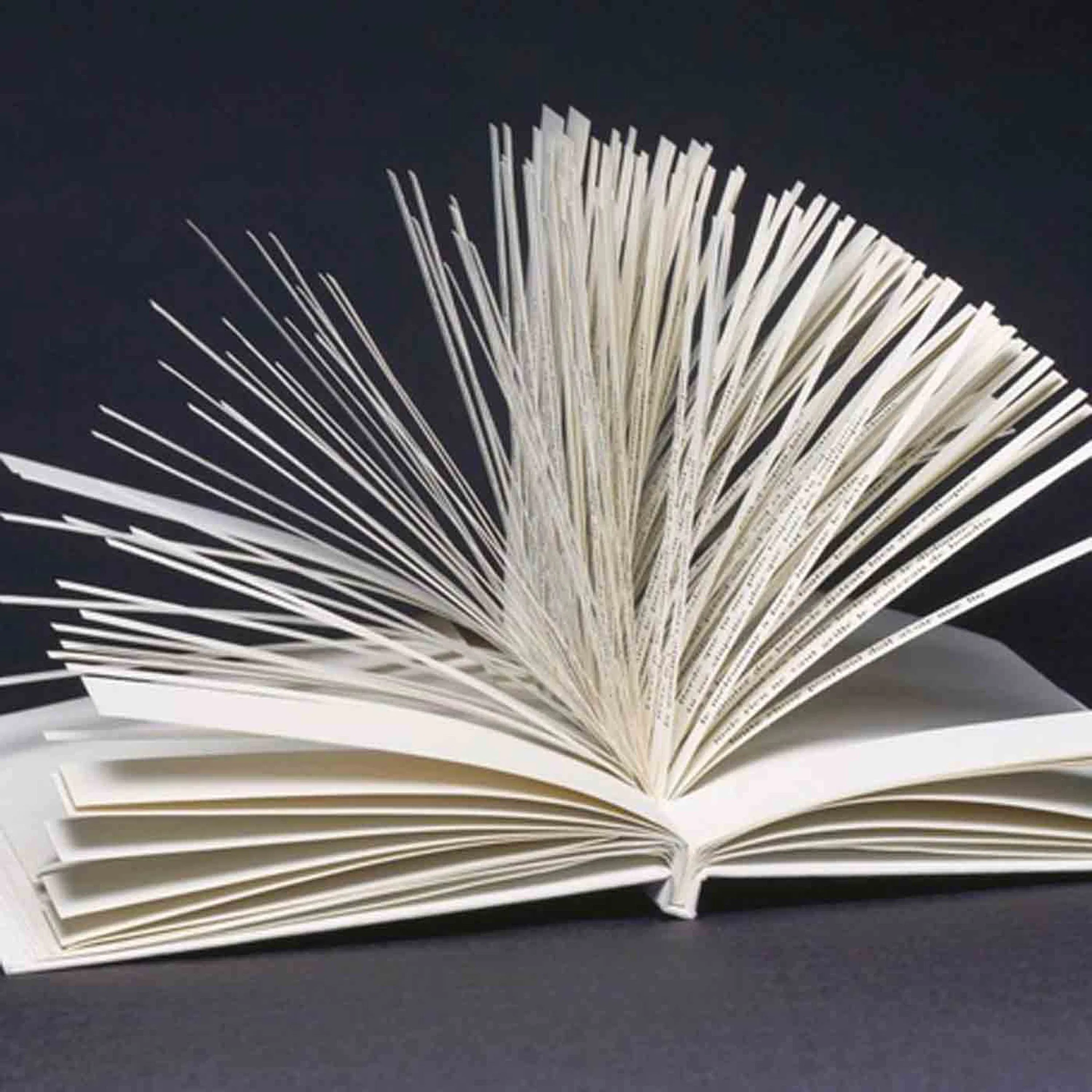 Qu'est-ce que l'Oulipo ?