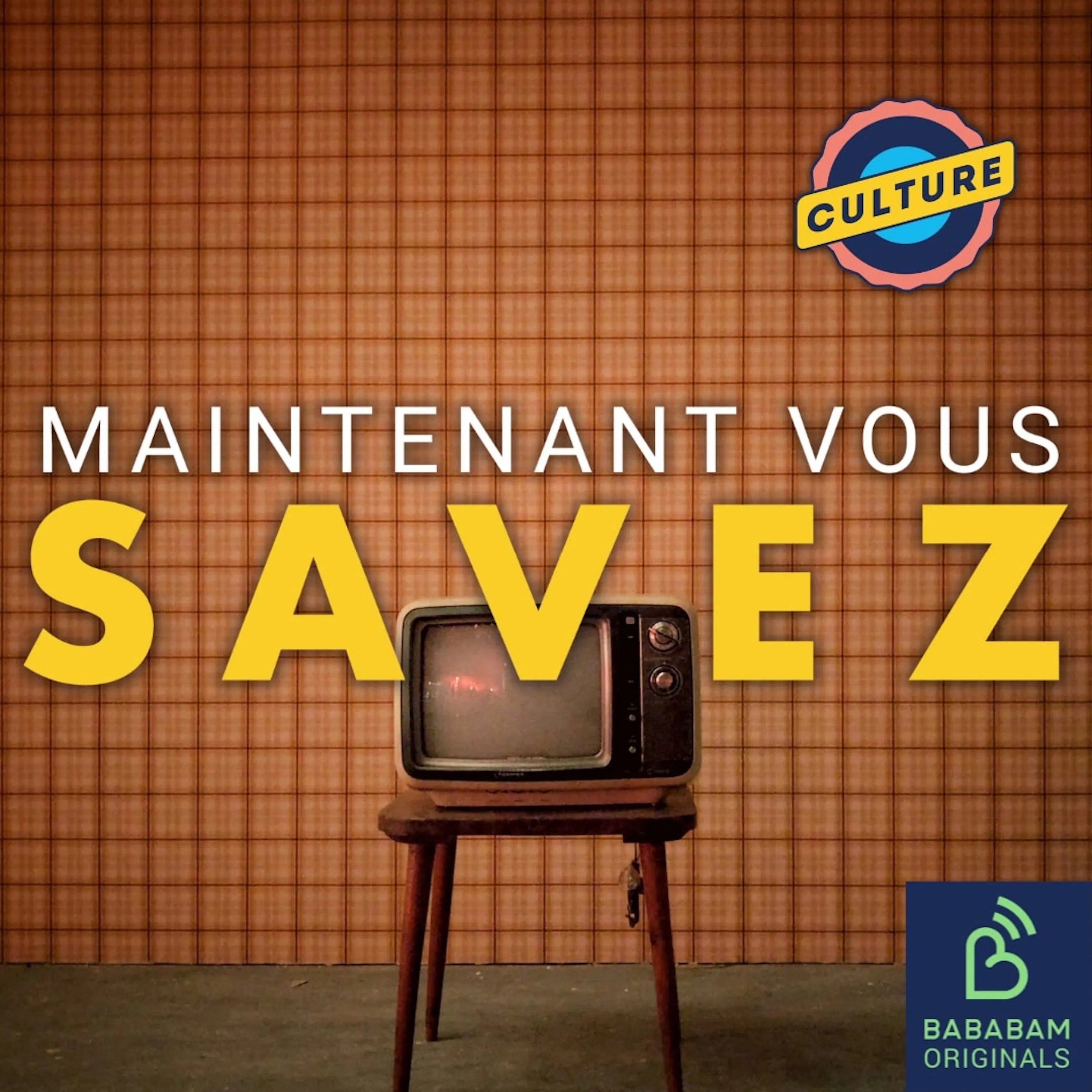 Quel est le film le plus diffusé de tous les temps à la télévision française ?
