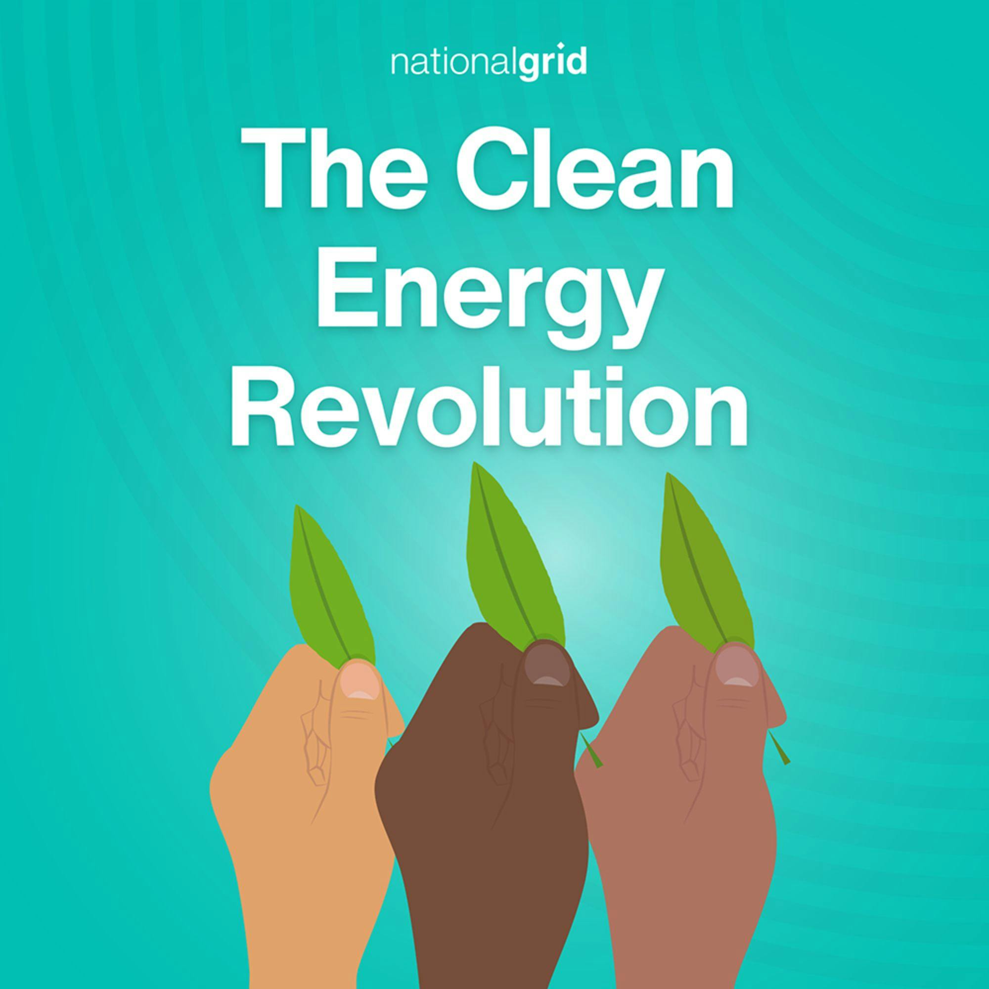 The Clean Energy Revolution Artwork