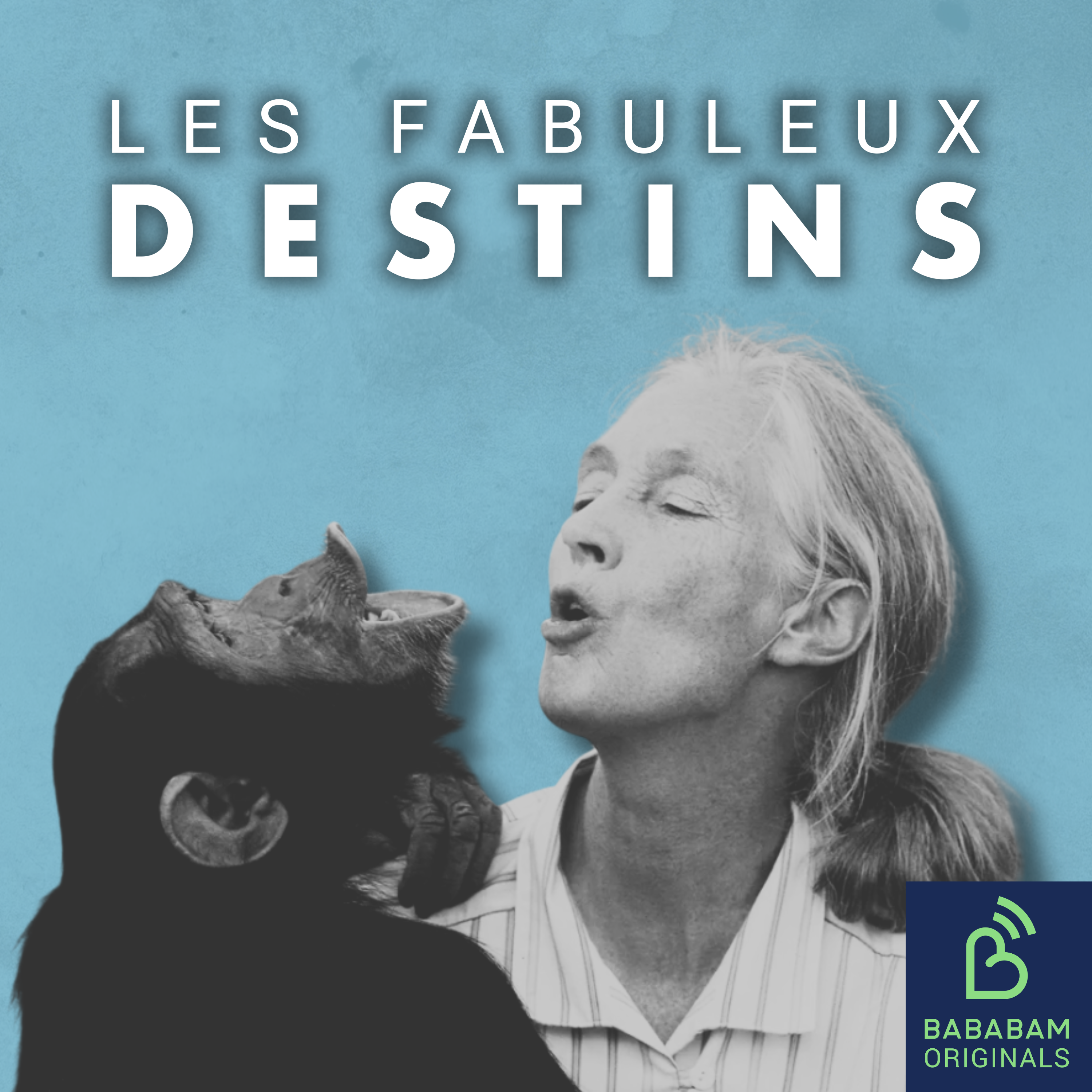 Jane Goodall, la pionnière qui a révolutionné le monde animal (3/4)