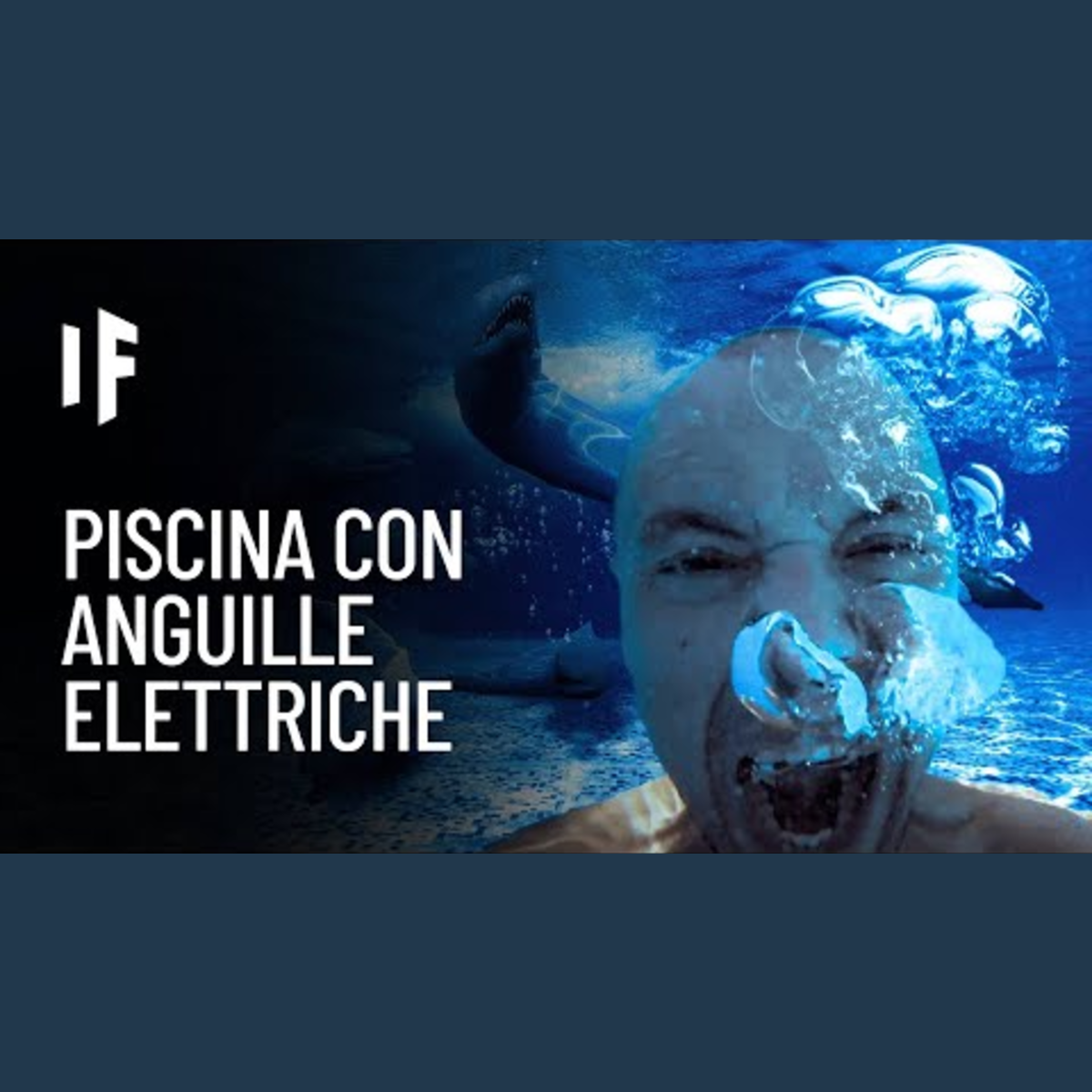 E se cadessi in una piscina colma di anguille elettriche? episode artwork