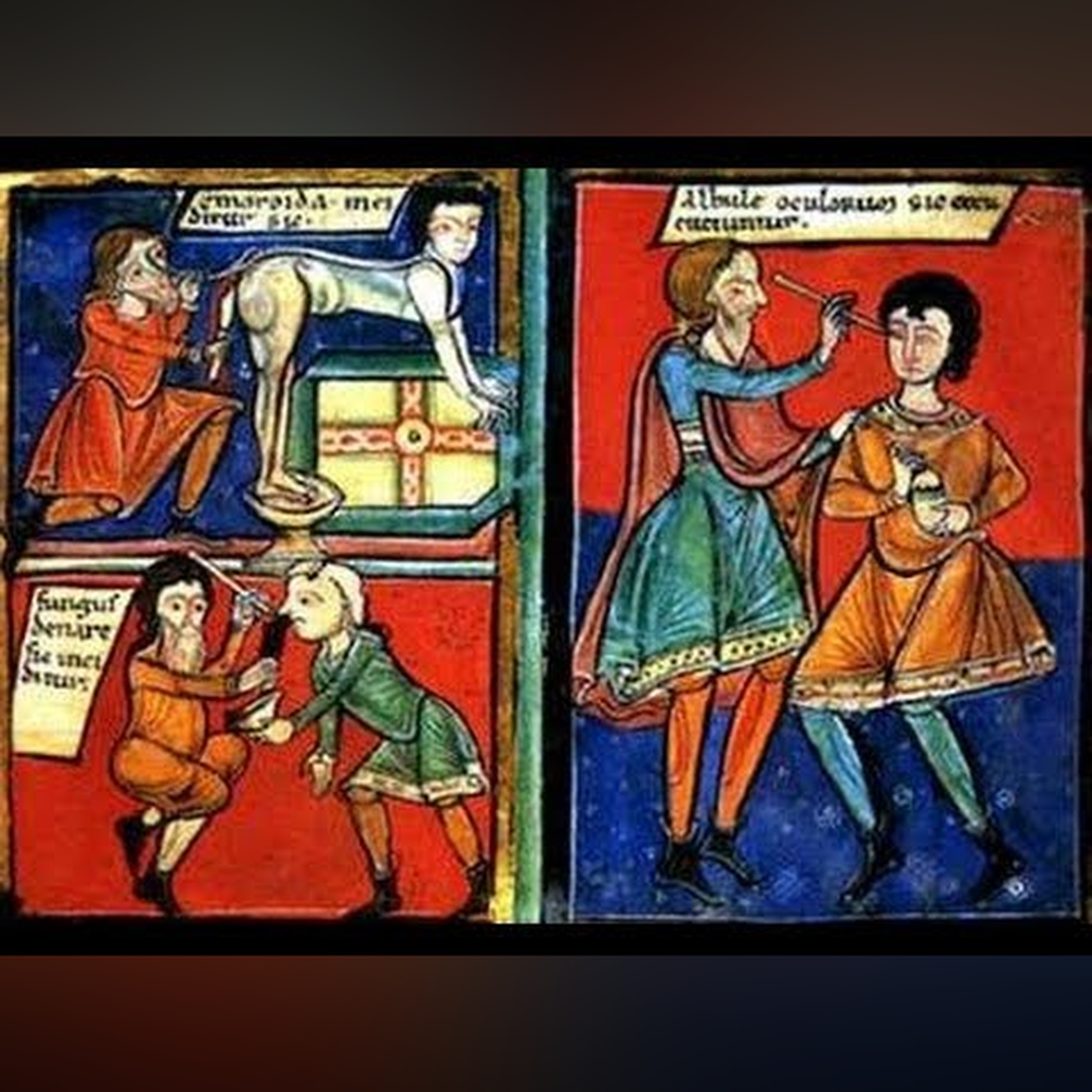 The Politics of Health Reform from a Medieval Perspective - Professor William Ayliffe