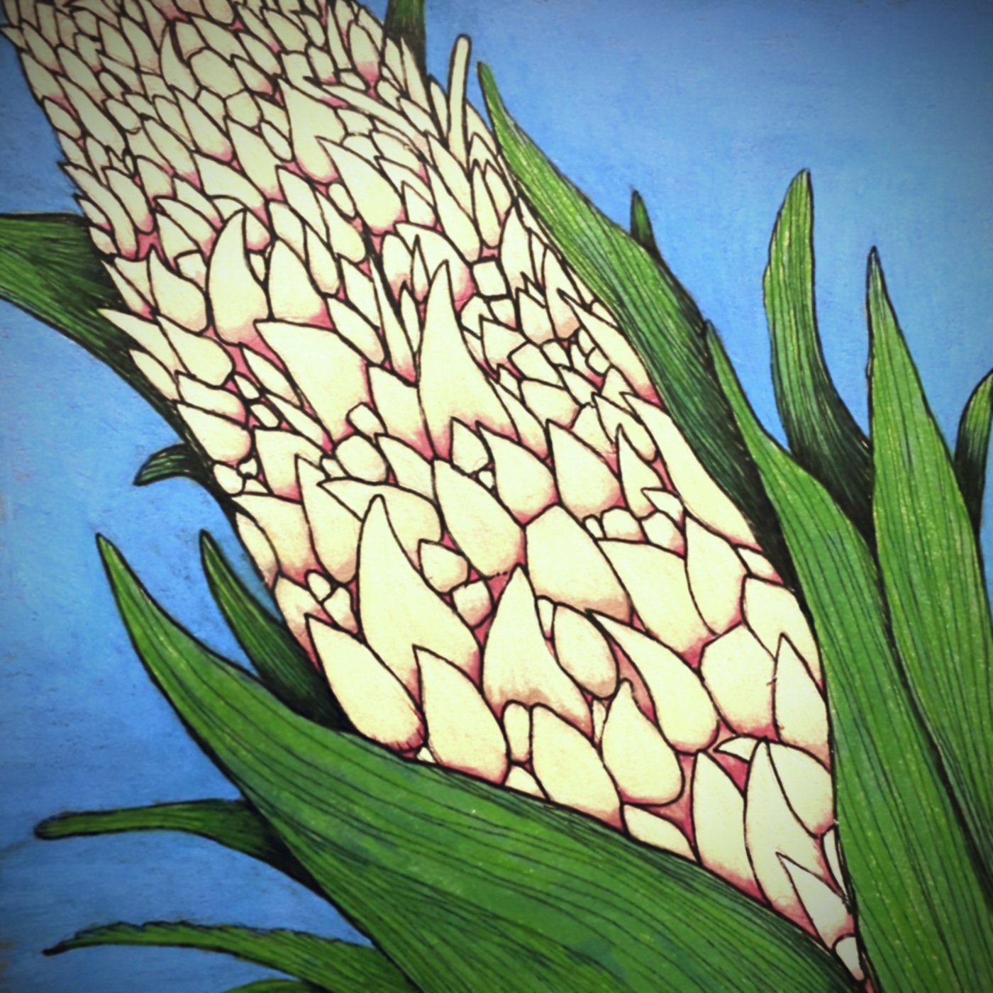 "The NoSleep Podcast" Podcast