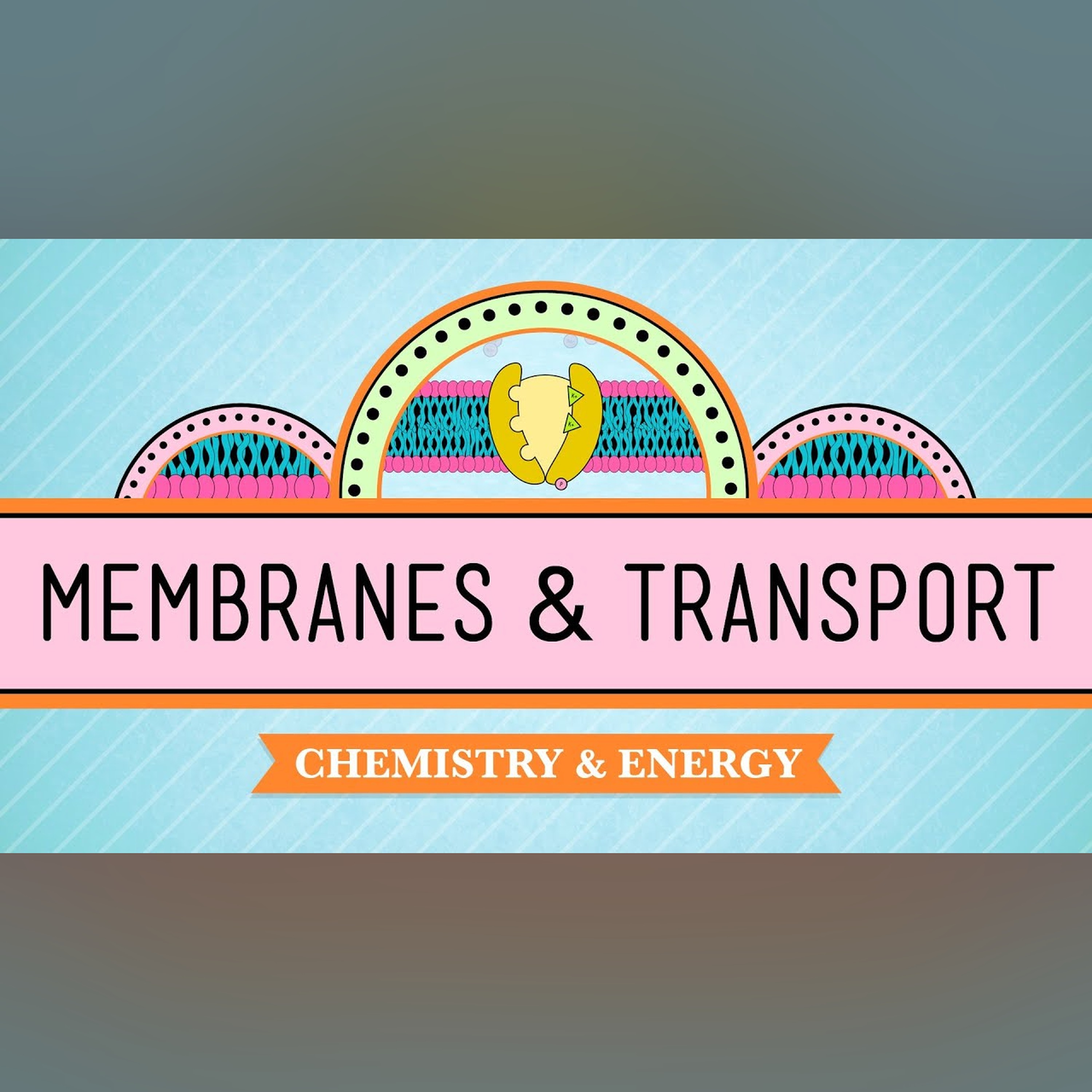 In Da Club - Membranes and Transport: Crash Course Biology #5