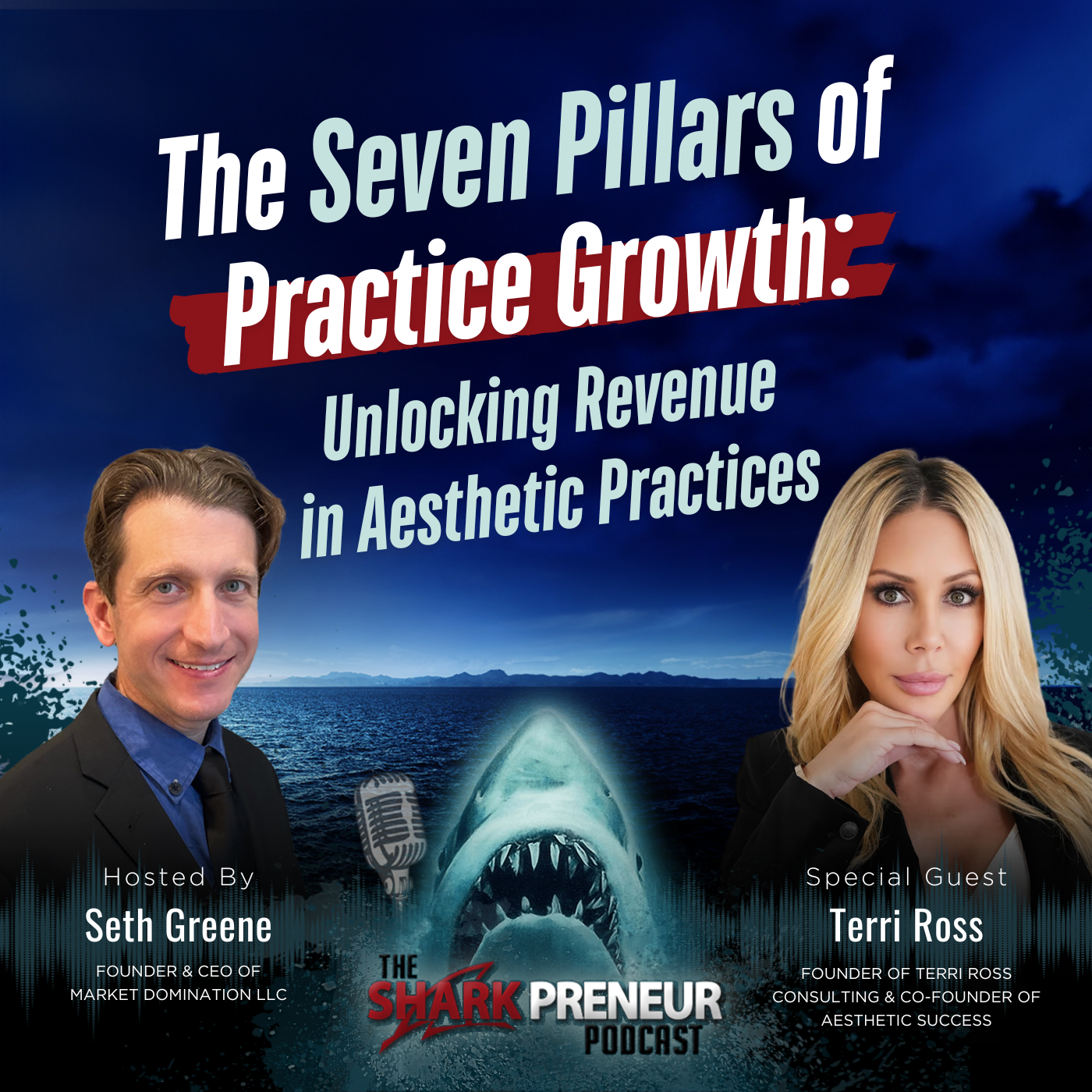 Episode 1226: The Seven Pillars of Practice Growth: Unlocking Revenue in Aesthetic Practices with Terri Ross