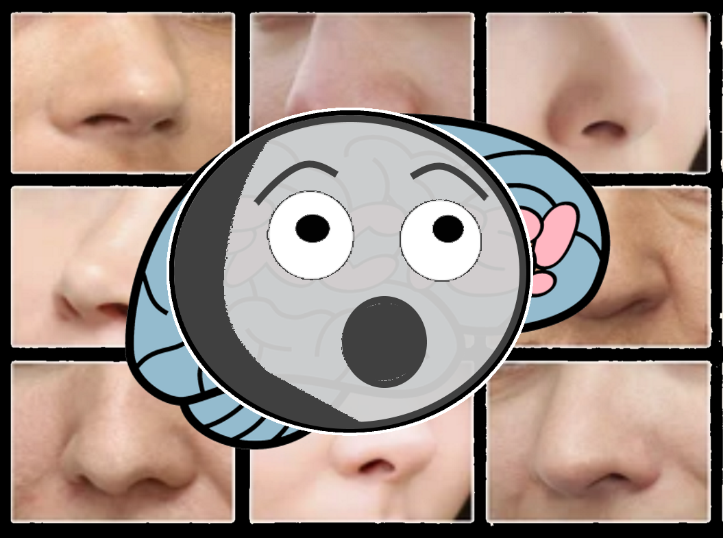 It Stinks! (your sense of smell, ep. 187)