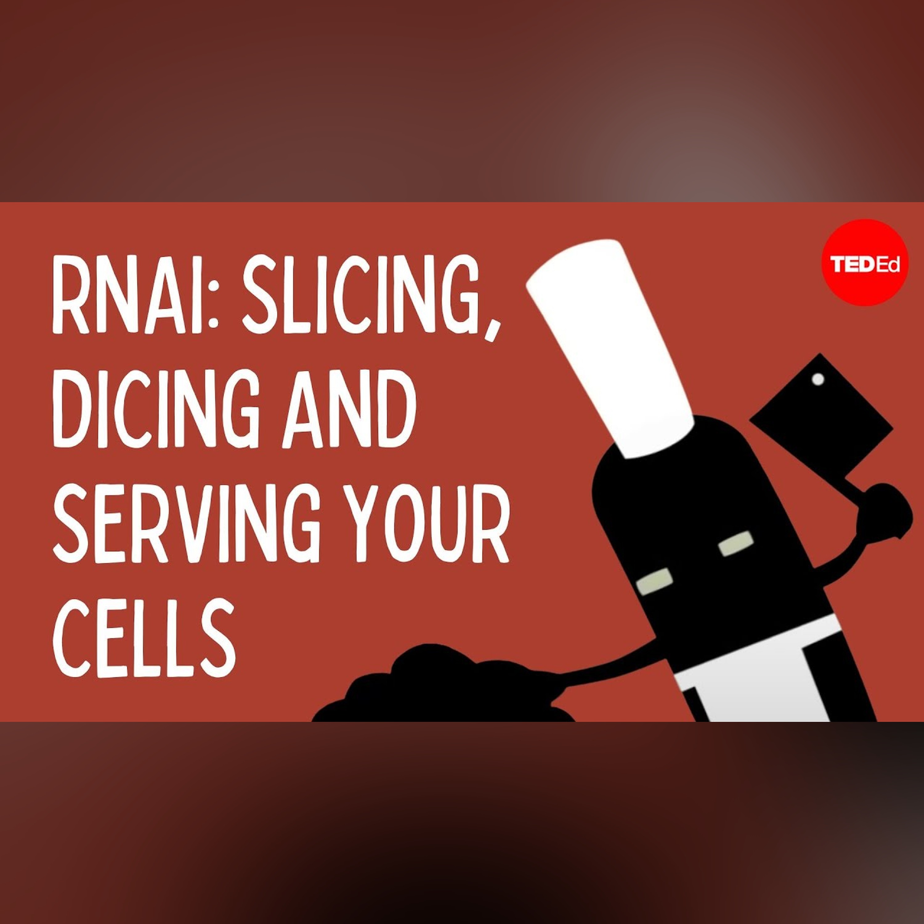 RNAi: Slicing, dicing and serving your cells - Alex Dainis
