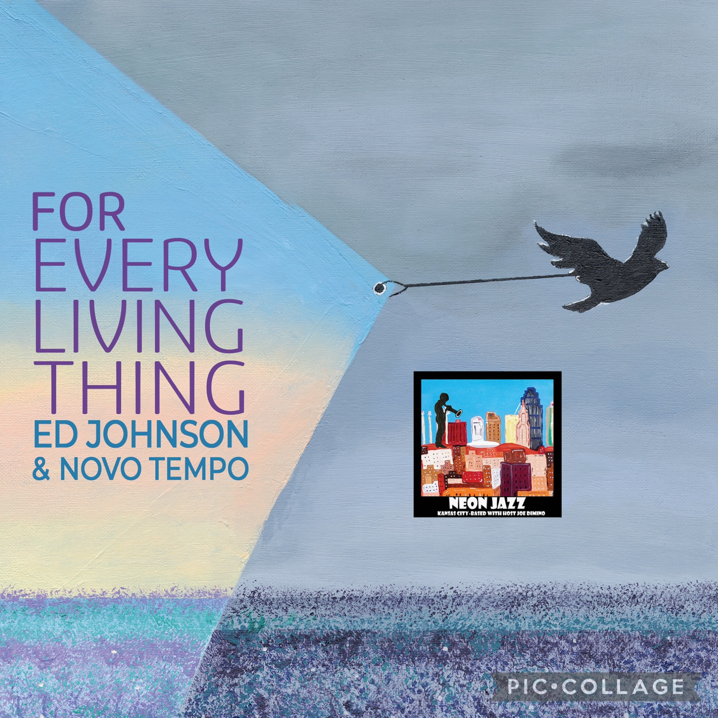 San Francisco-based Jazz Composer, Vocalist, Guitarist & Producer Ed Johnson