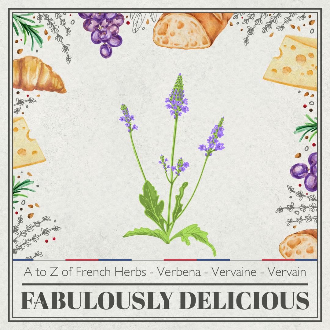 A to Z of French Herbs - Verbena - Vervaine - Vervain