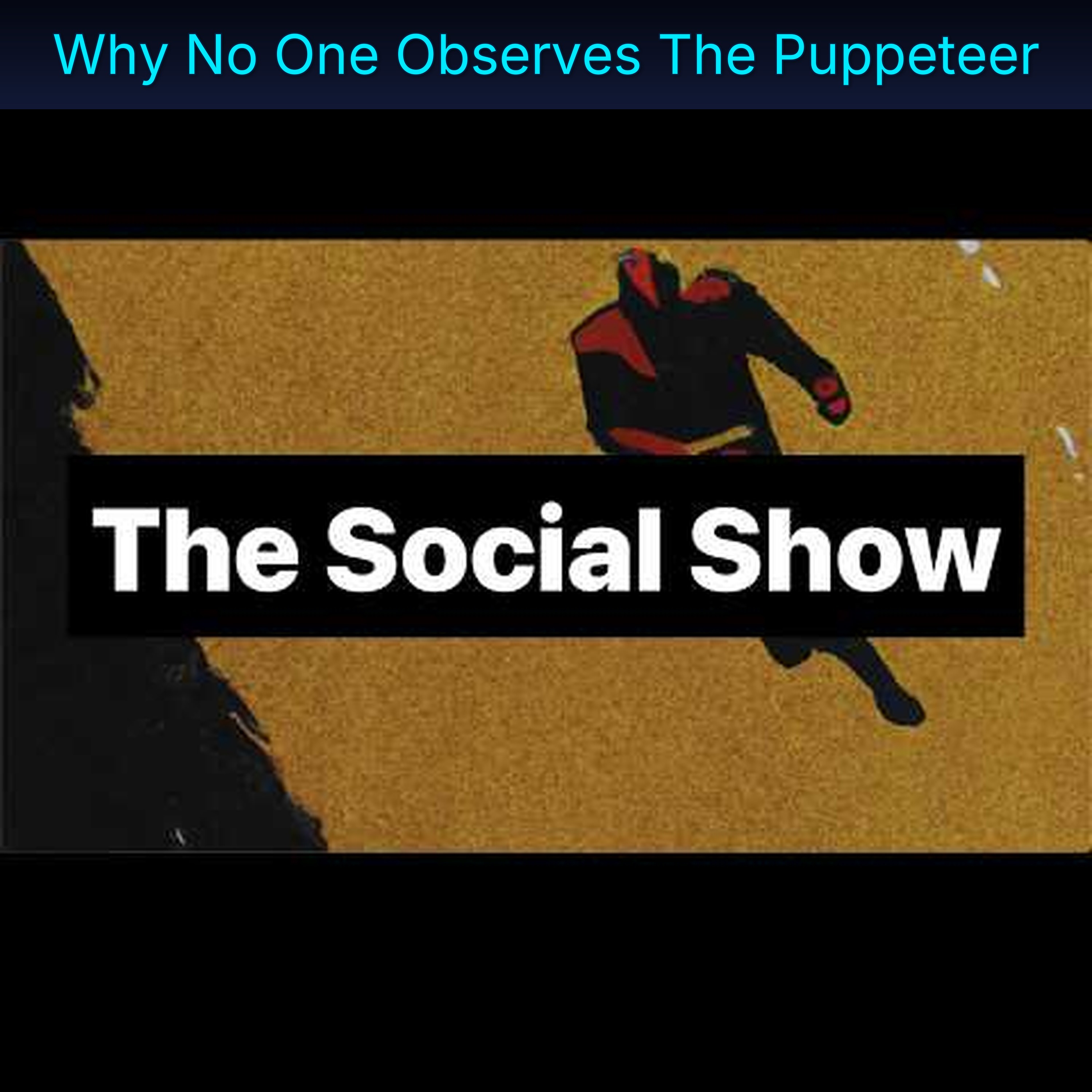 Why No One Observes The Puppeteer