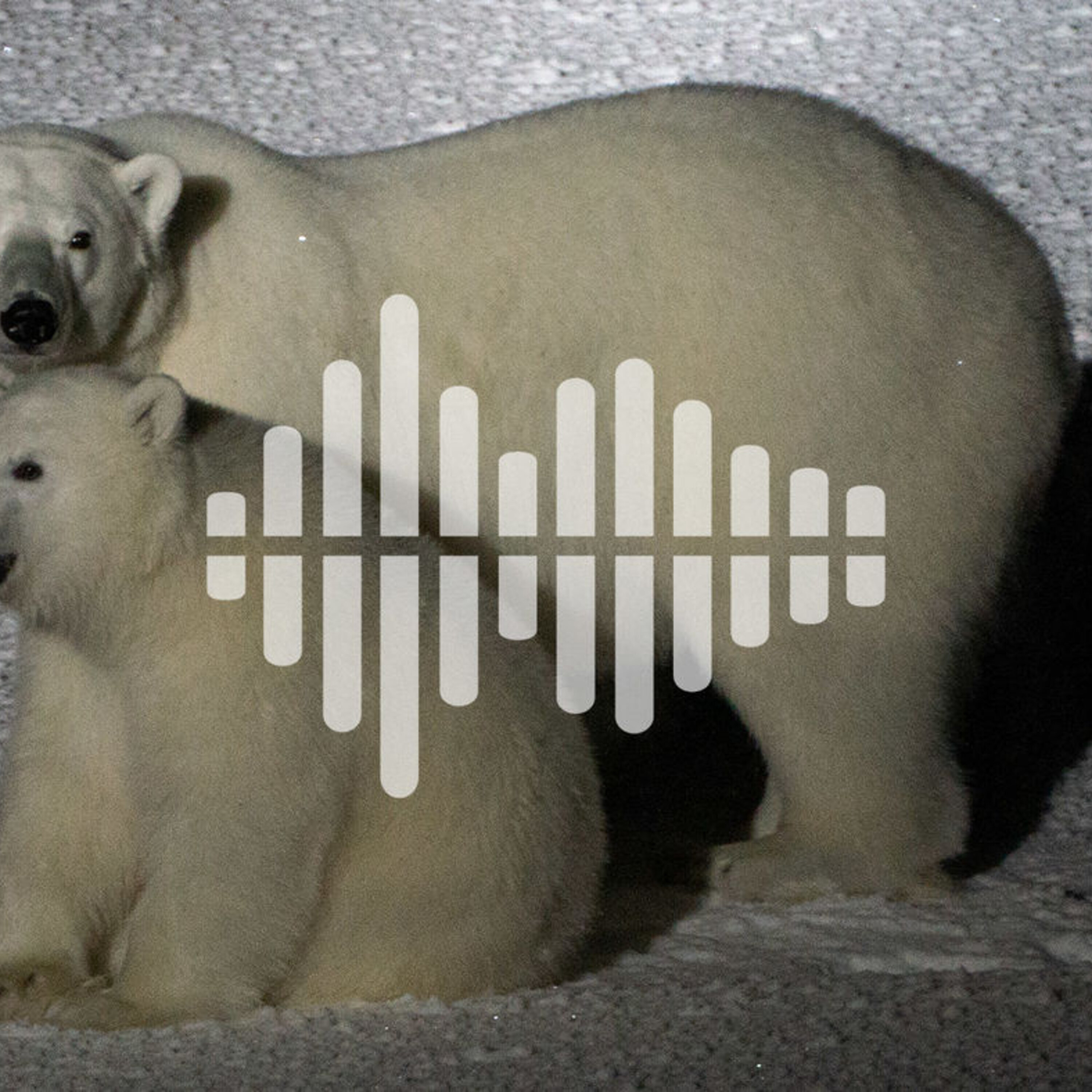 How to make an Arctic ship ‘vanish,’ and how fast-moving spikes are heating the Sun’s atmosphere