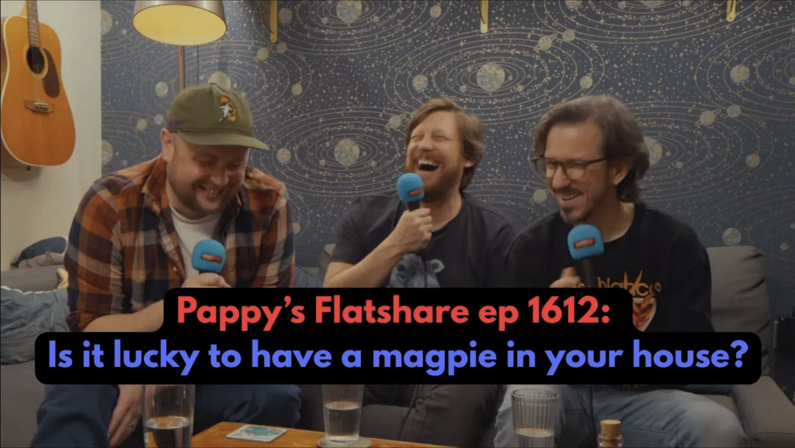 Pappy’s Flatshare ep 1612: Is it lucky to have a magpie in your house?
