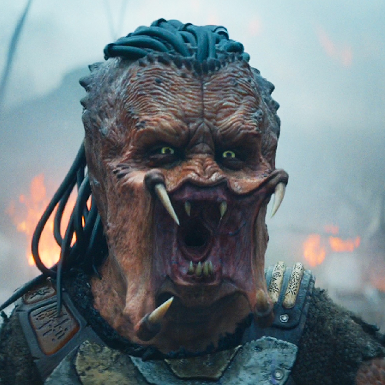 The Business of Film: Predator – Badlands, The Choral & Anemone