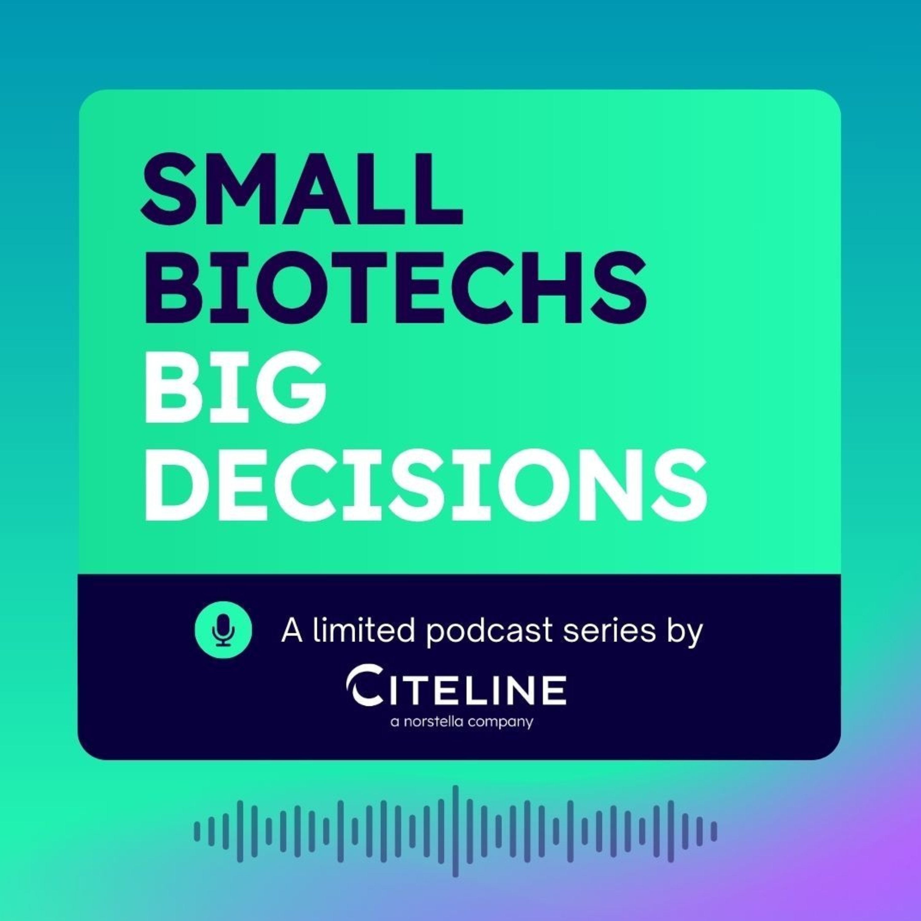 Small Biotechs; Big Decisions podcast artwork