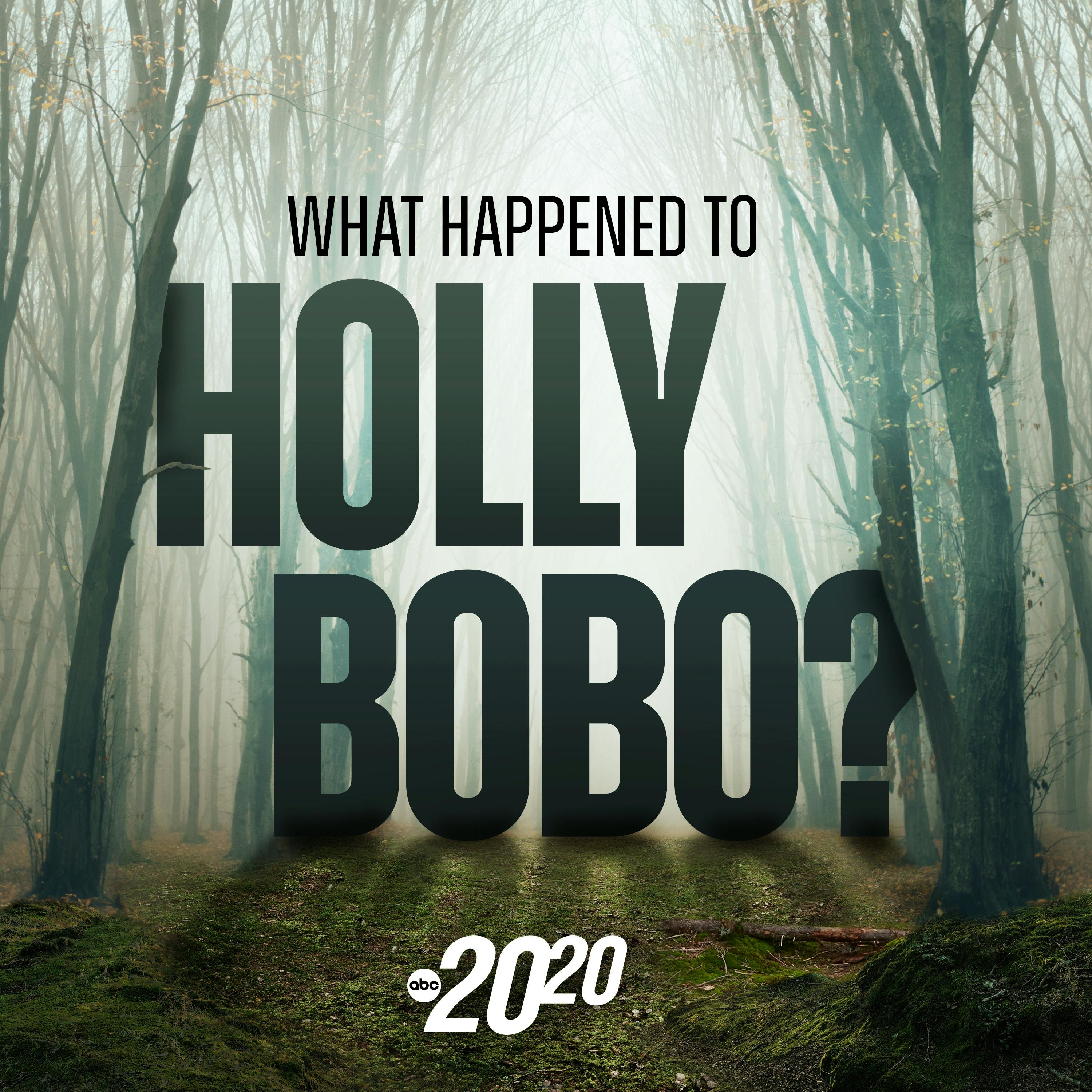 What Happened to Holly Bobo?: Fourteen Days