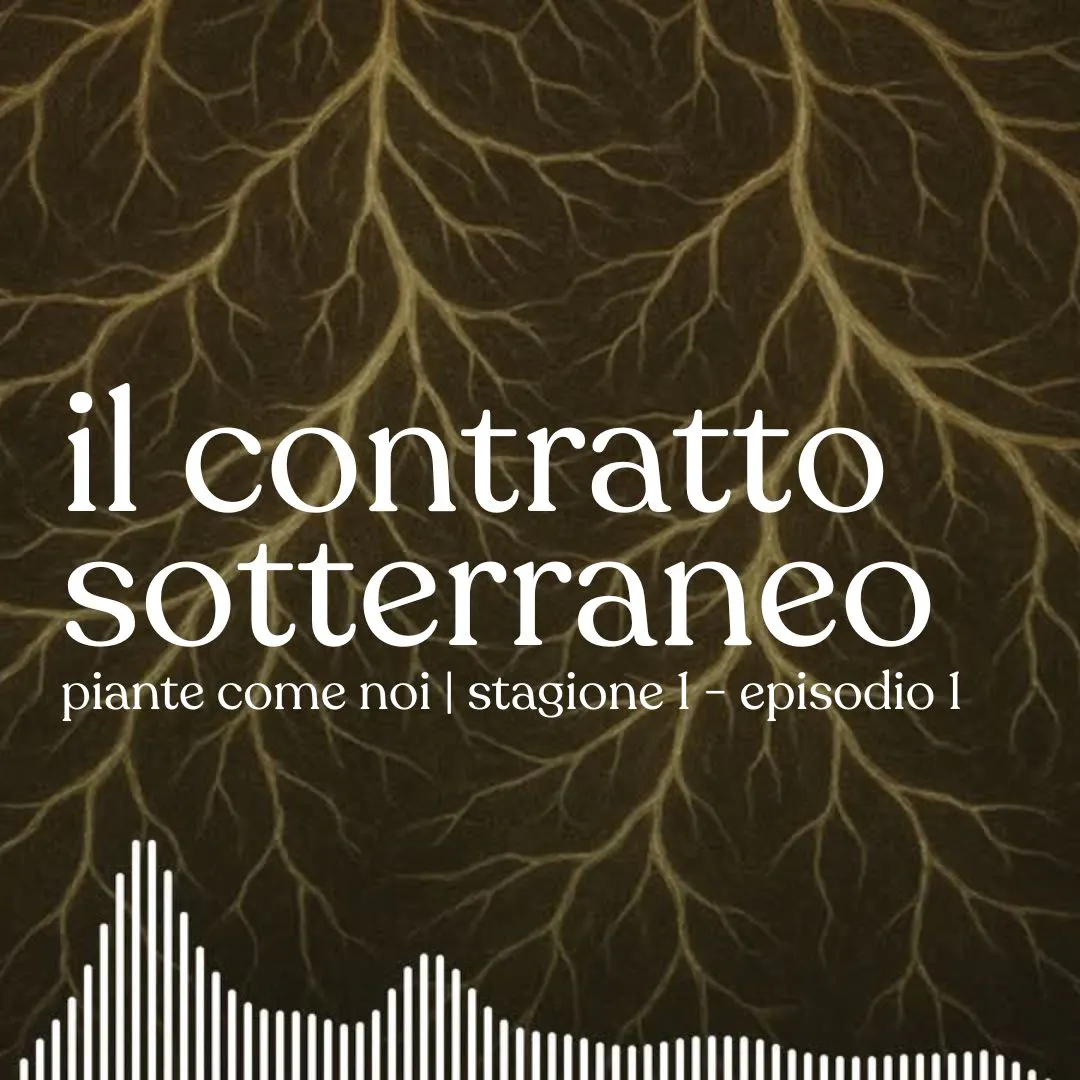 Il contratto sotterraneo - Stagione 1 | Episodio 1 episode artwork