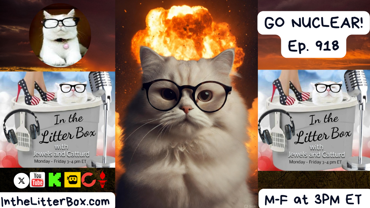 GO NUCLEAR! | In the Litter Box w/ Jewels & Catturd – Ep. 918 – 11/6/2025