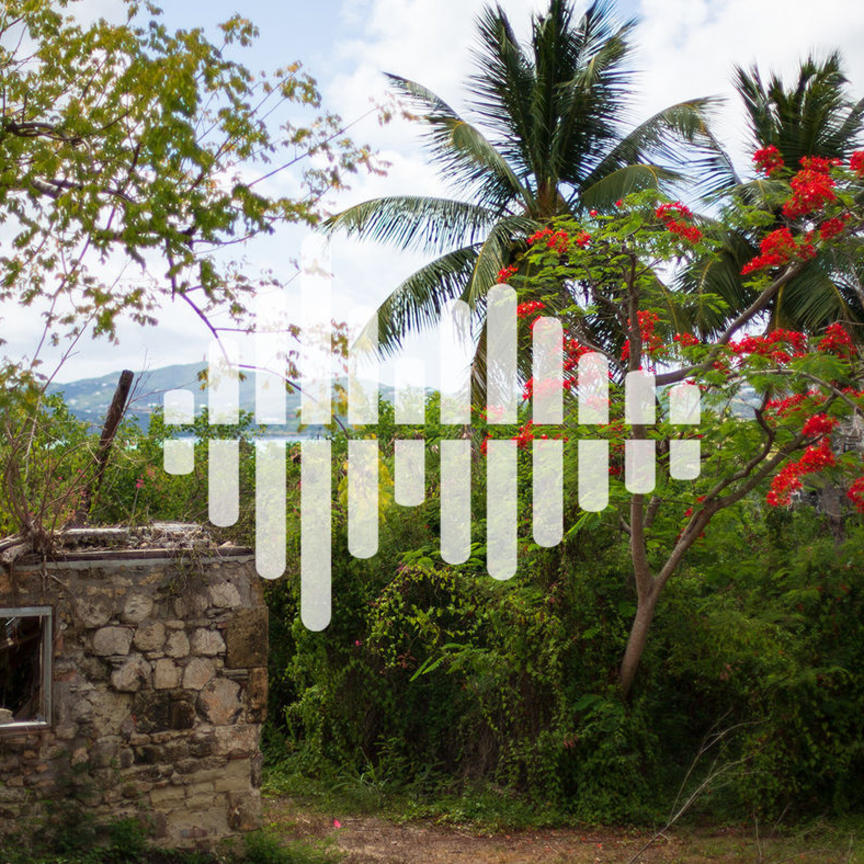 Unearthing slavery in the Caribbean, and the Catholic Church’s influence on modern psychology