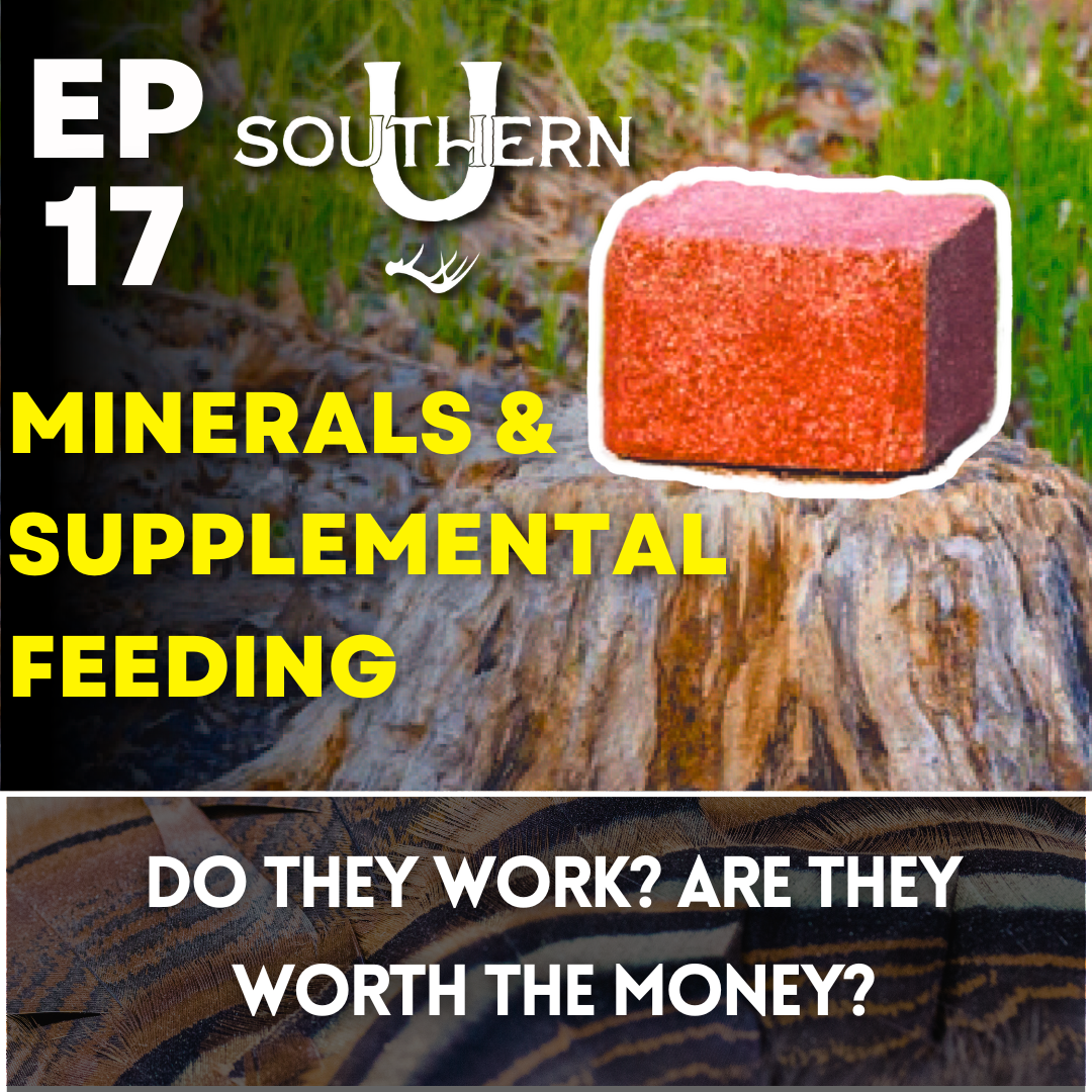Minerals and Supplemental Feed