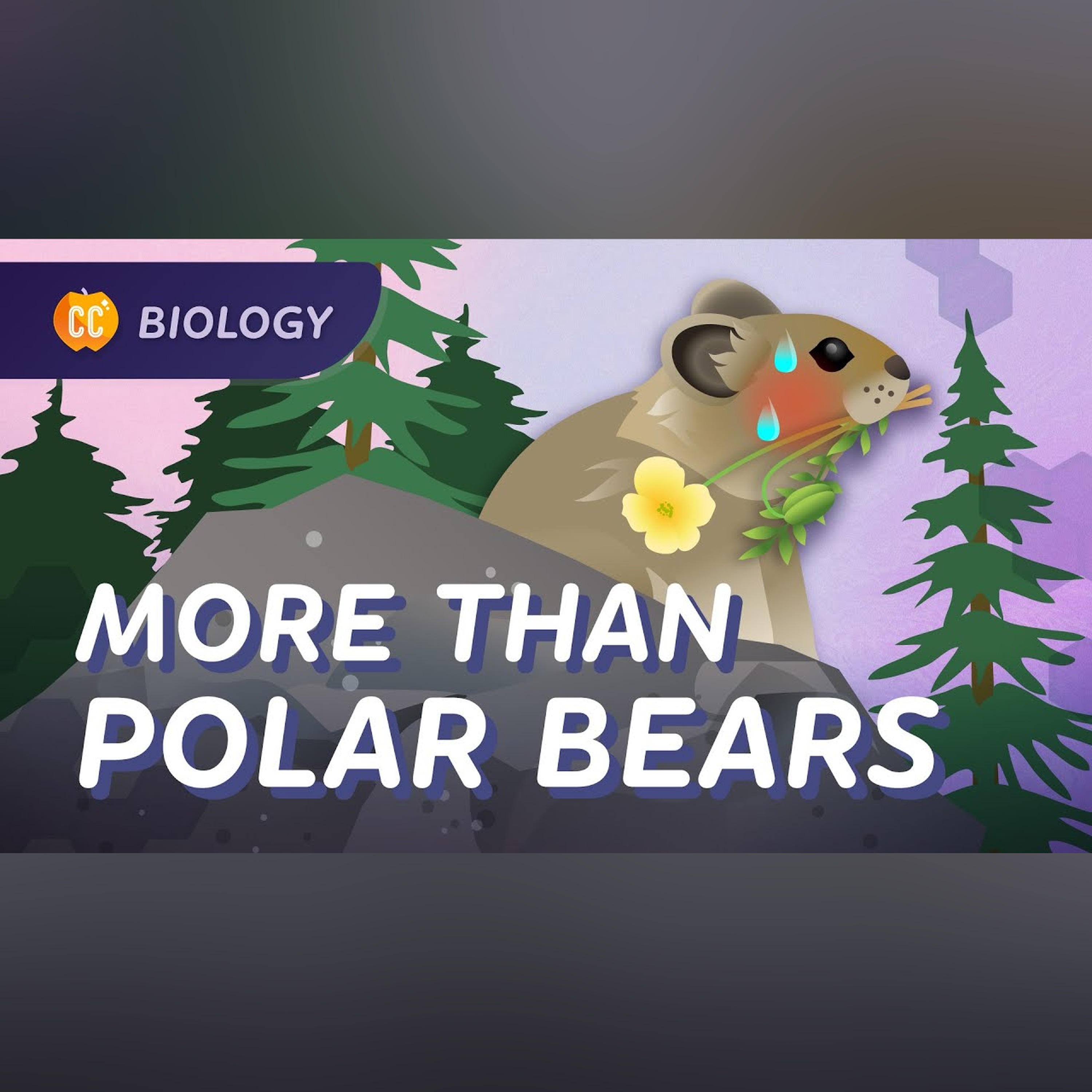 The Effects of Climate Change: Crash Course Biology #9
